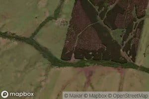 Arroyo del Campanero