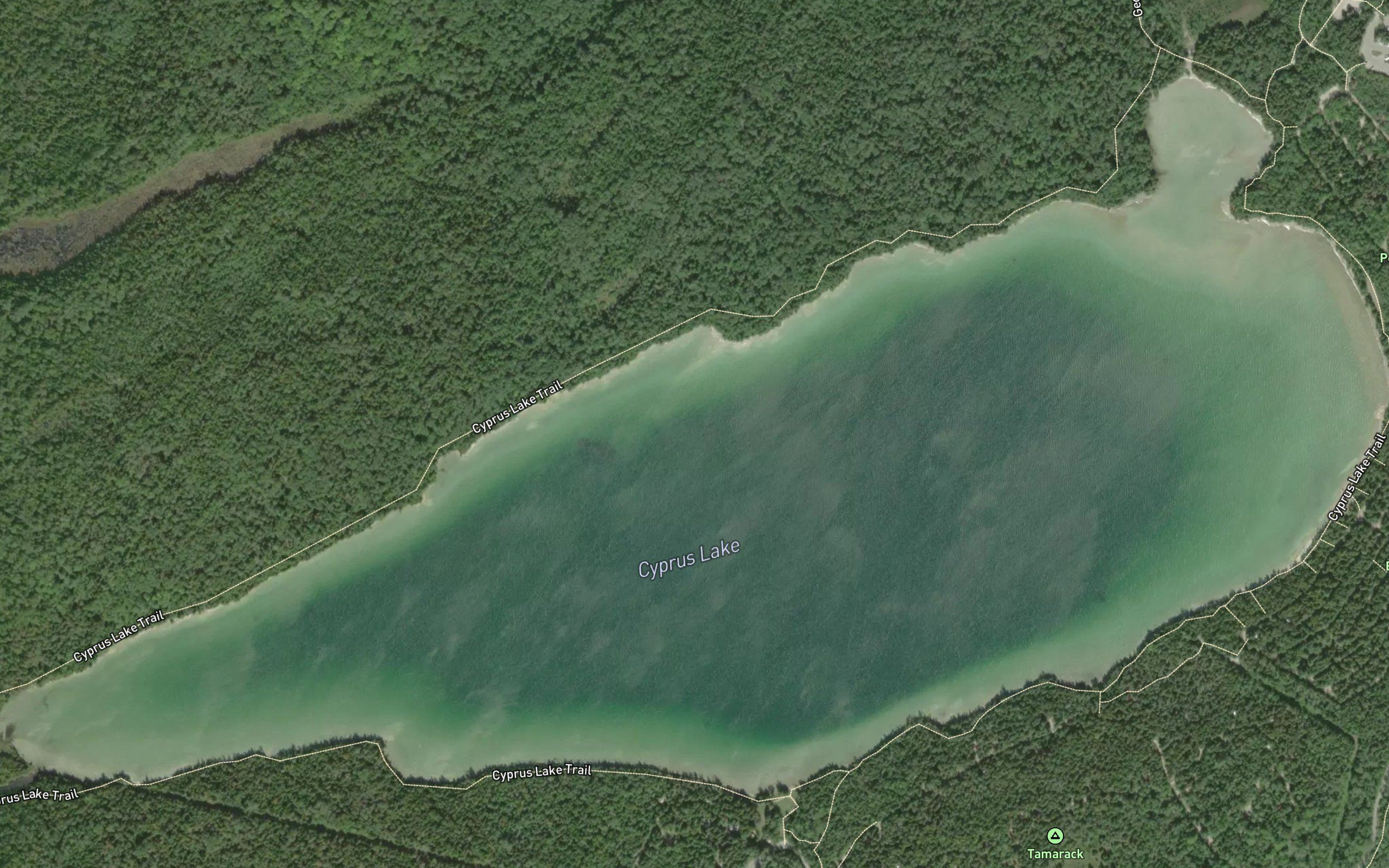 Cyprus Lake