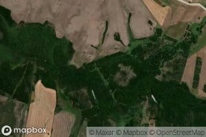 Arroyo de las Flores