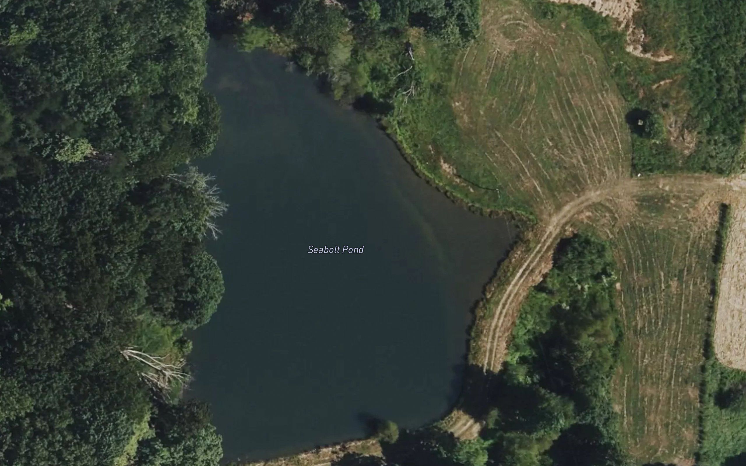 Seabolt Pond