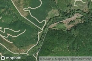 Weed Creek