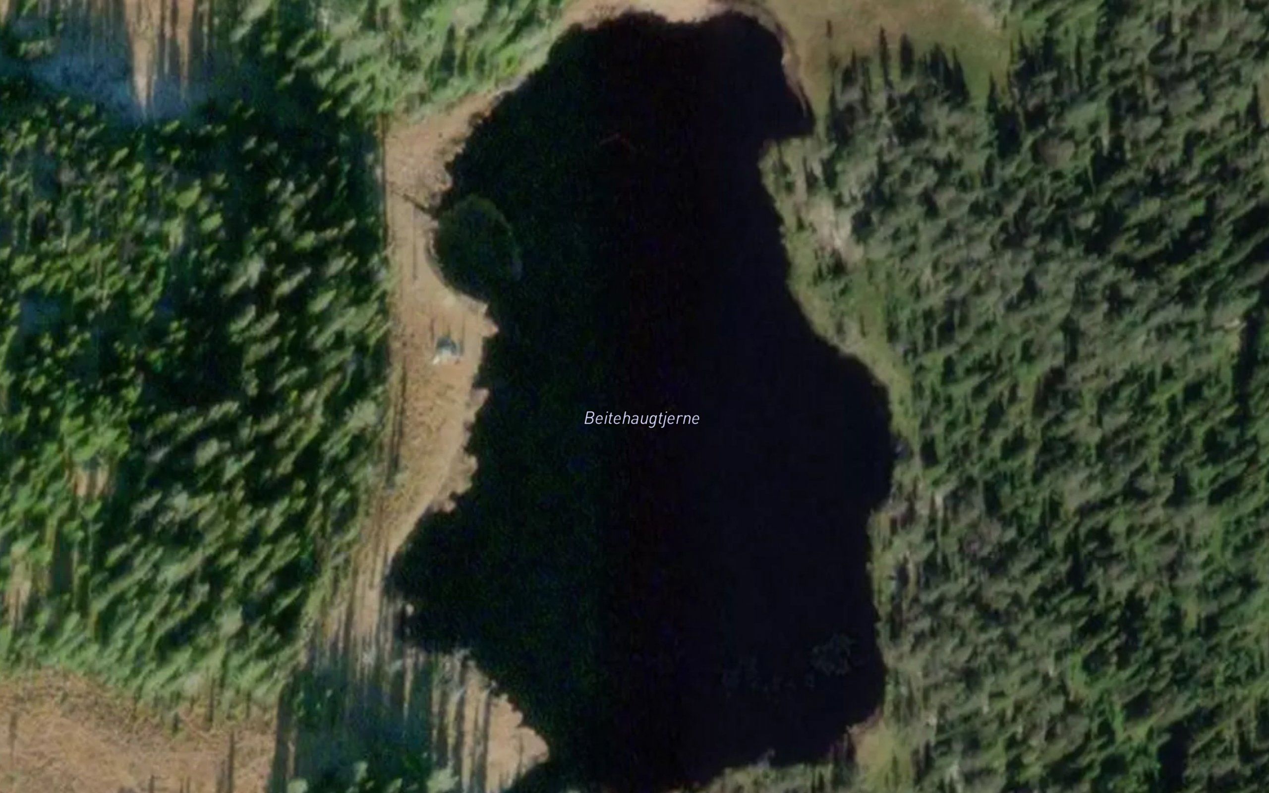 Beitehaugtjern