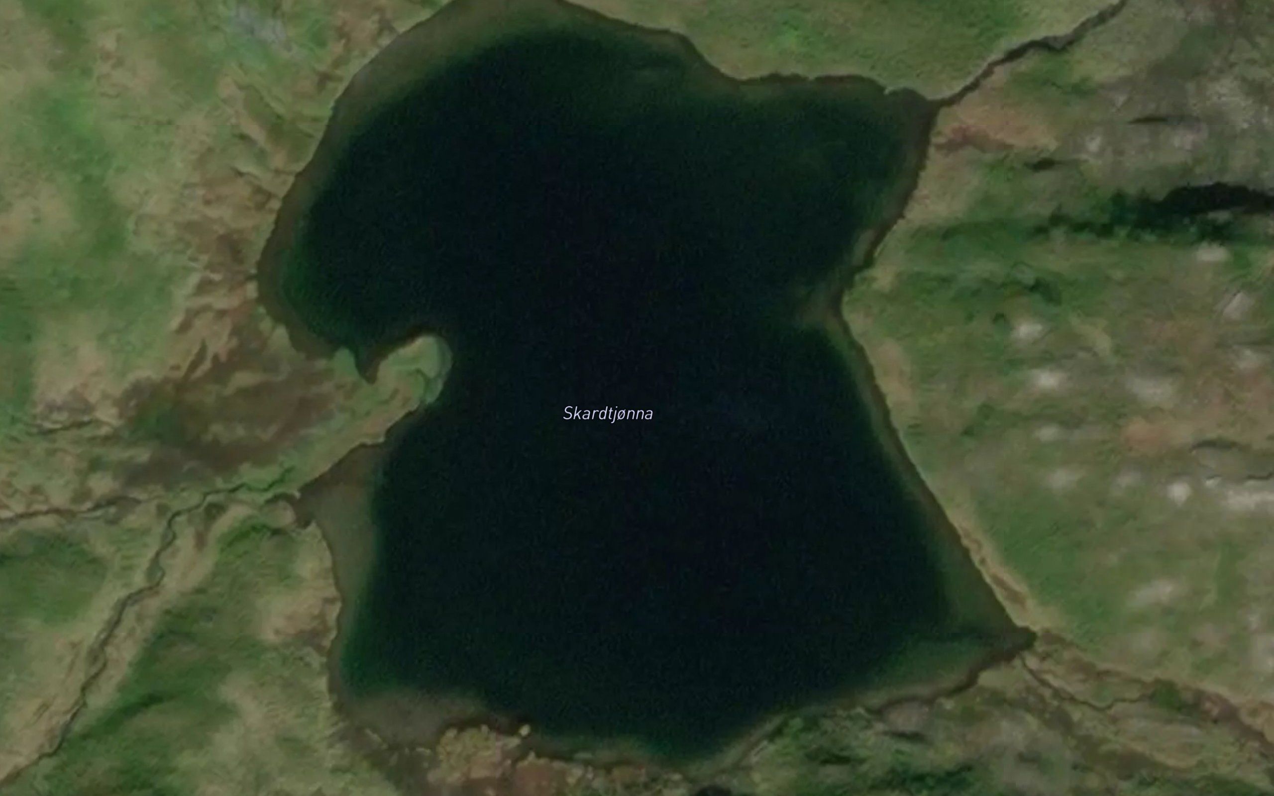 Skardtjorna
