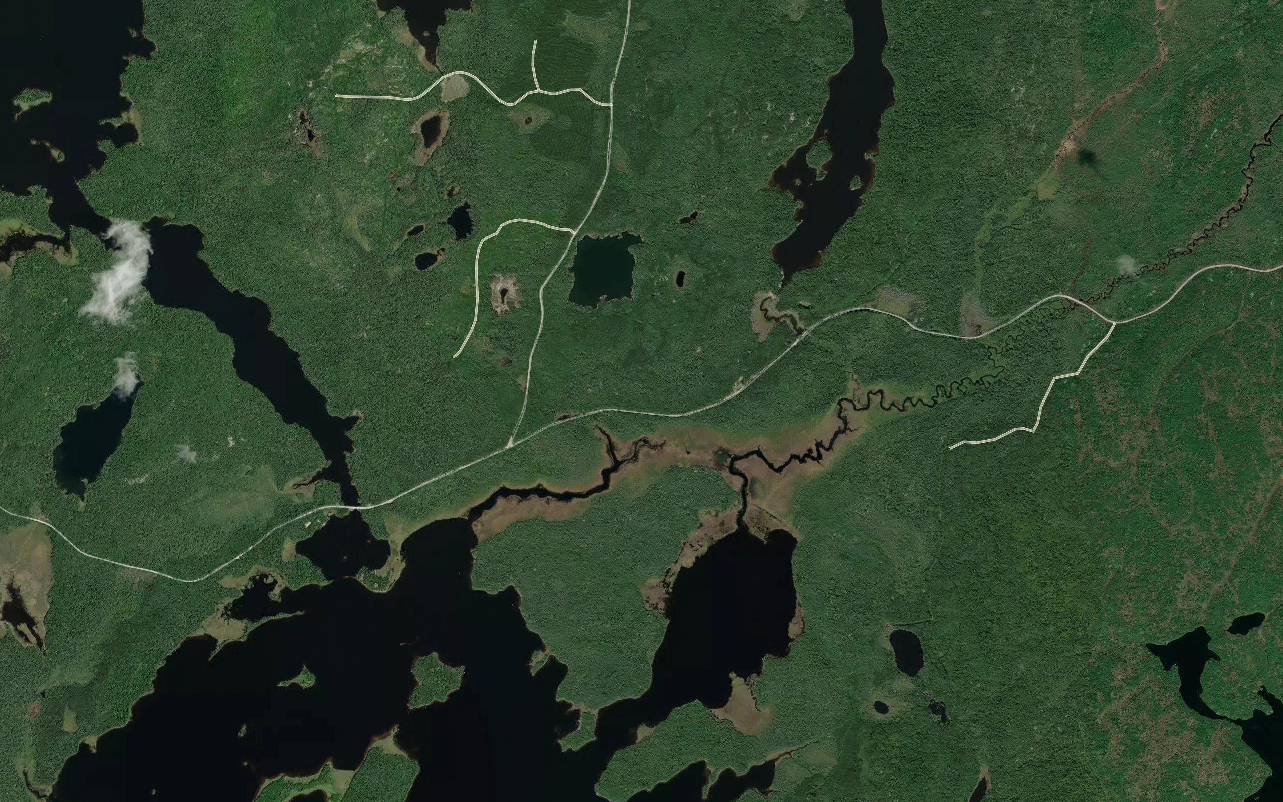 Fitzpatrick Creek