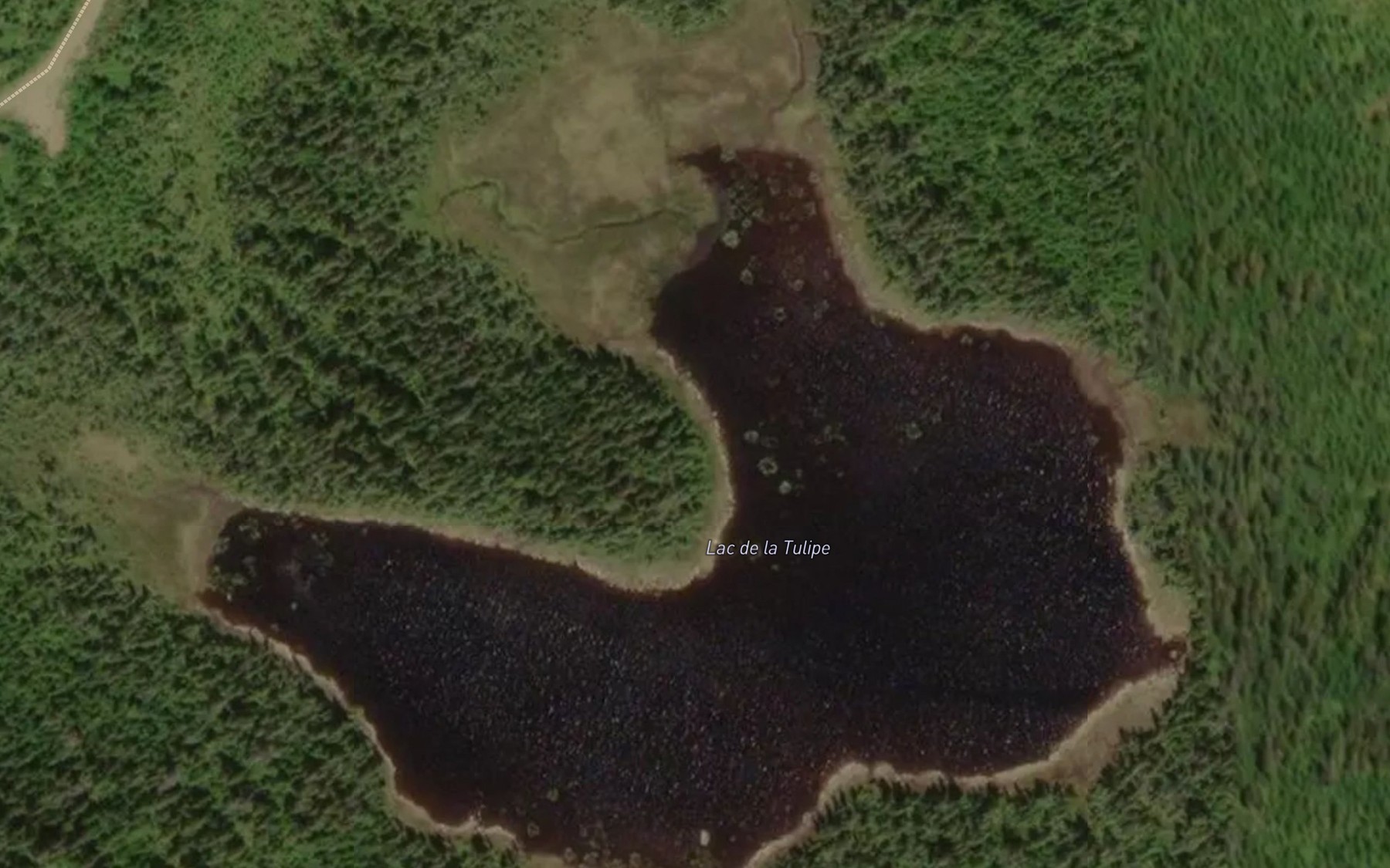 Satellite map of the Lac de la Tulipe