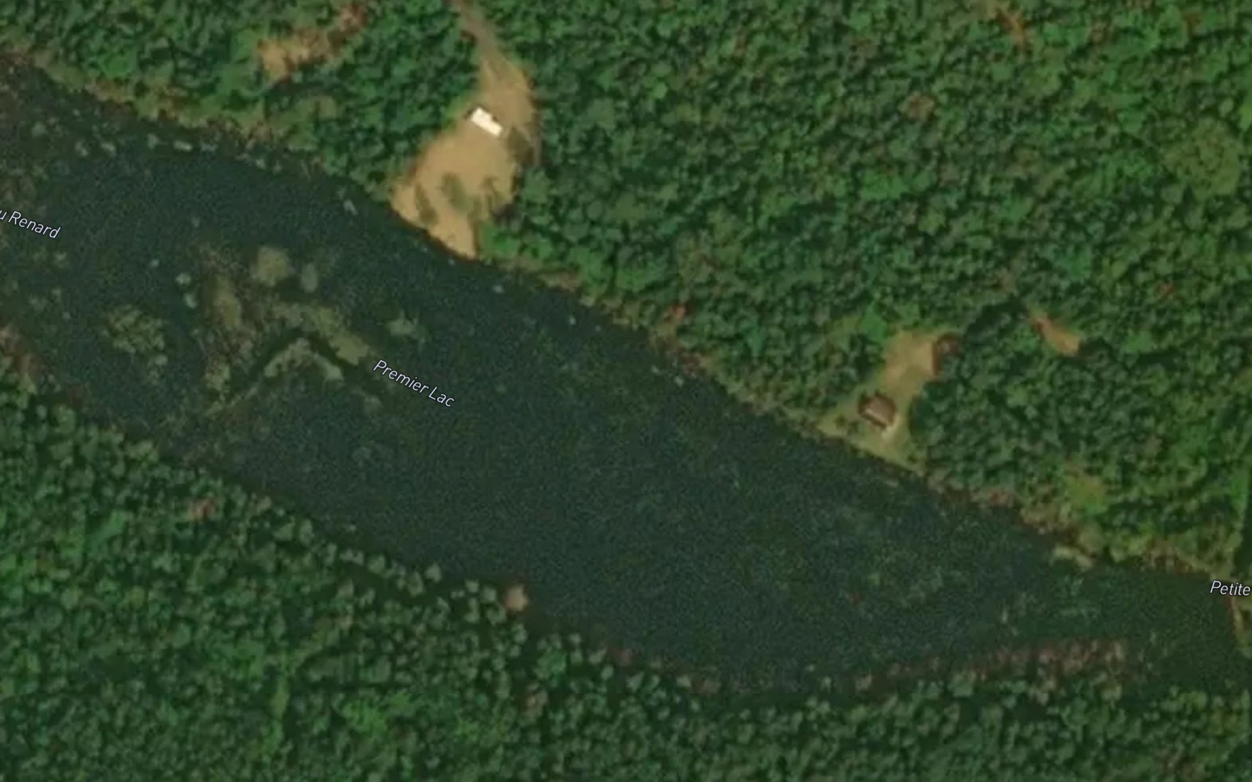 Satellite map of the Premier Lac