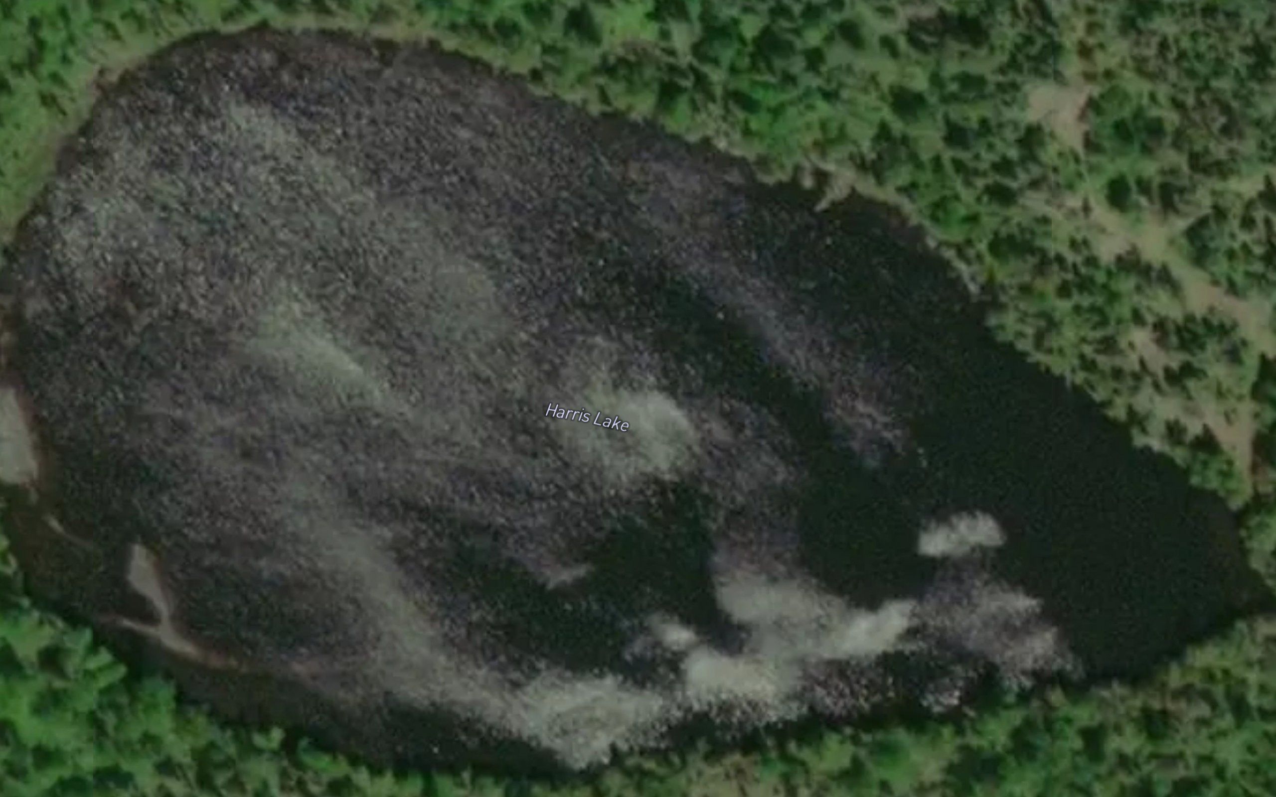 Harris Lake