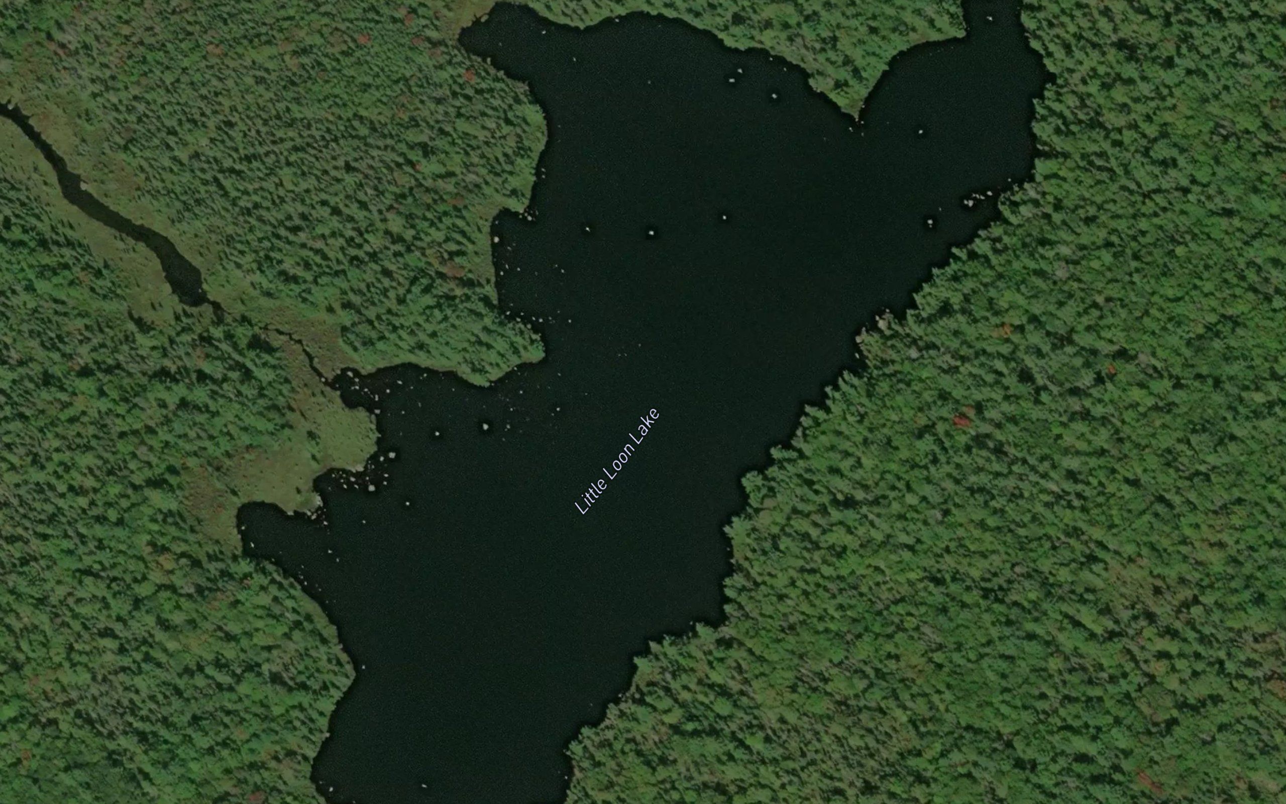 Little Loon Lake