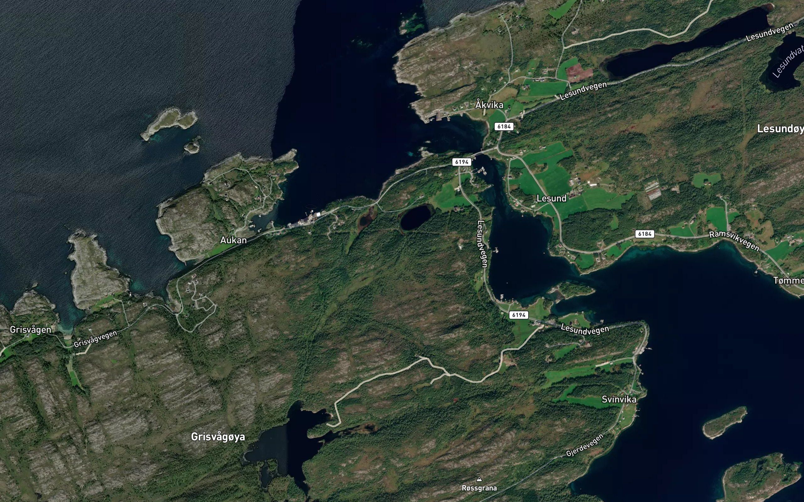 Evjene