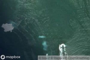 Fitzroy Reefs