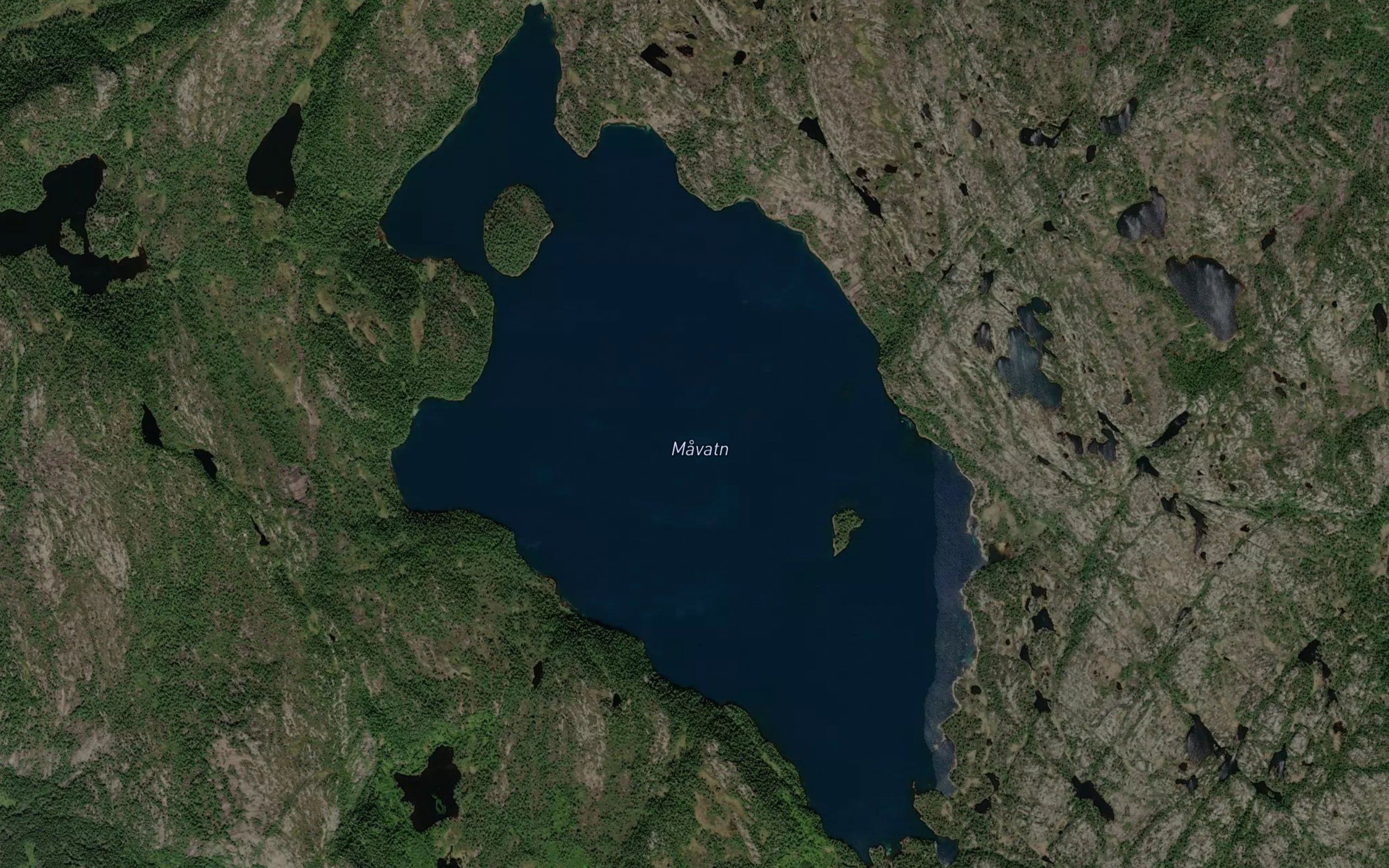 Mavatn