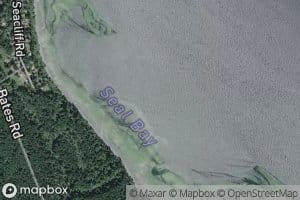 Seal Bay
