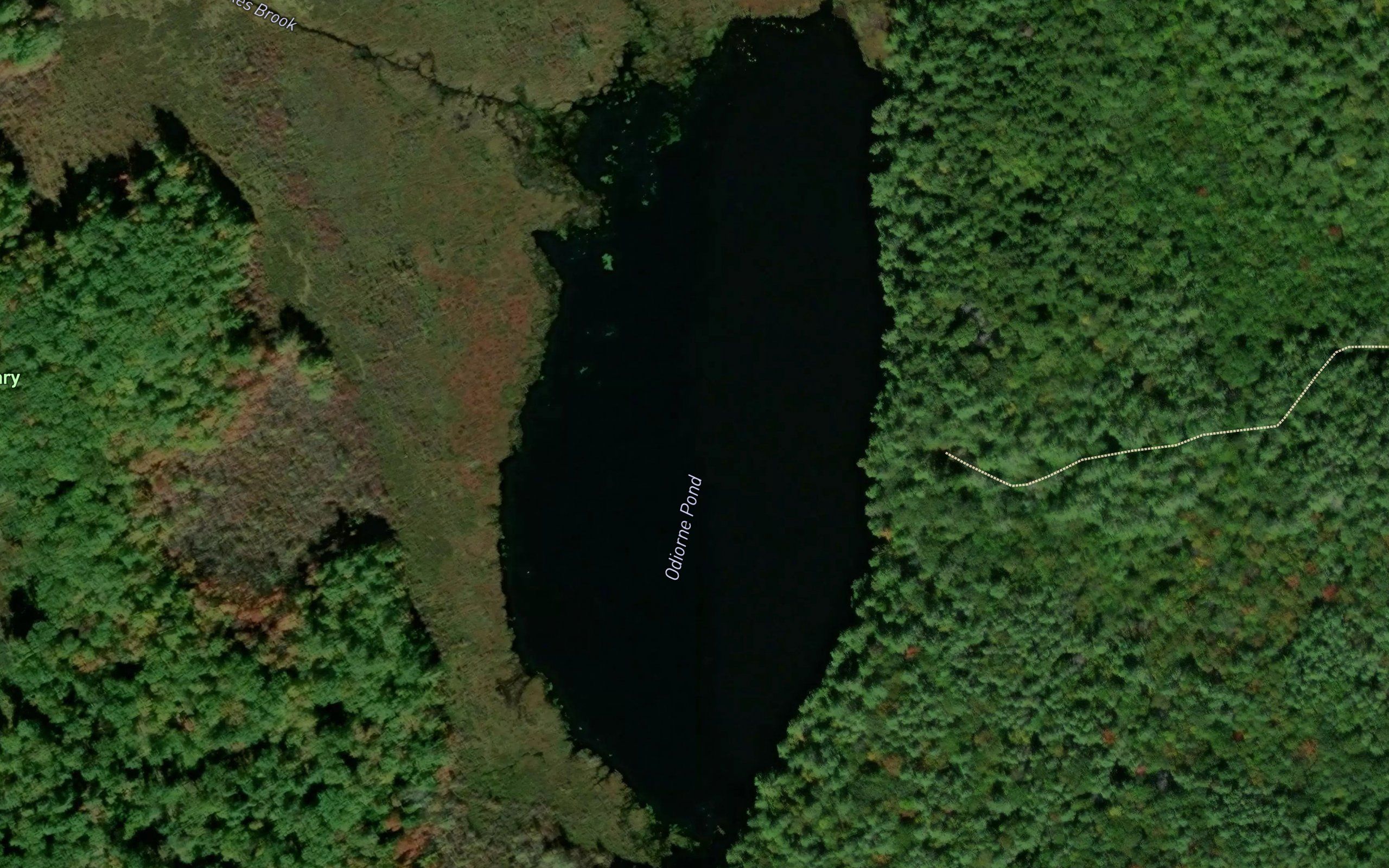 Odiorne Pond