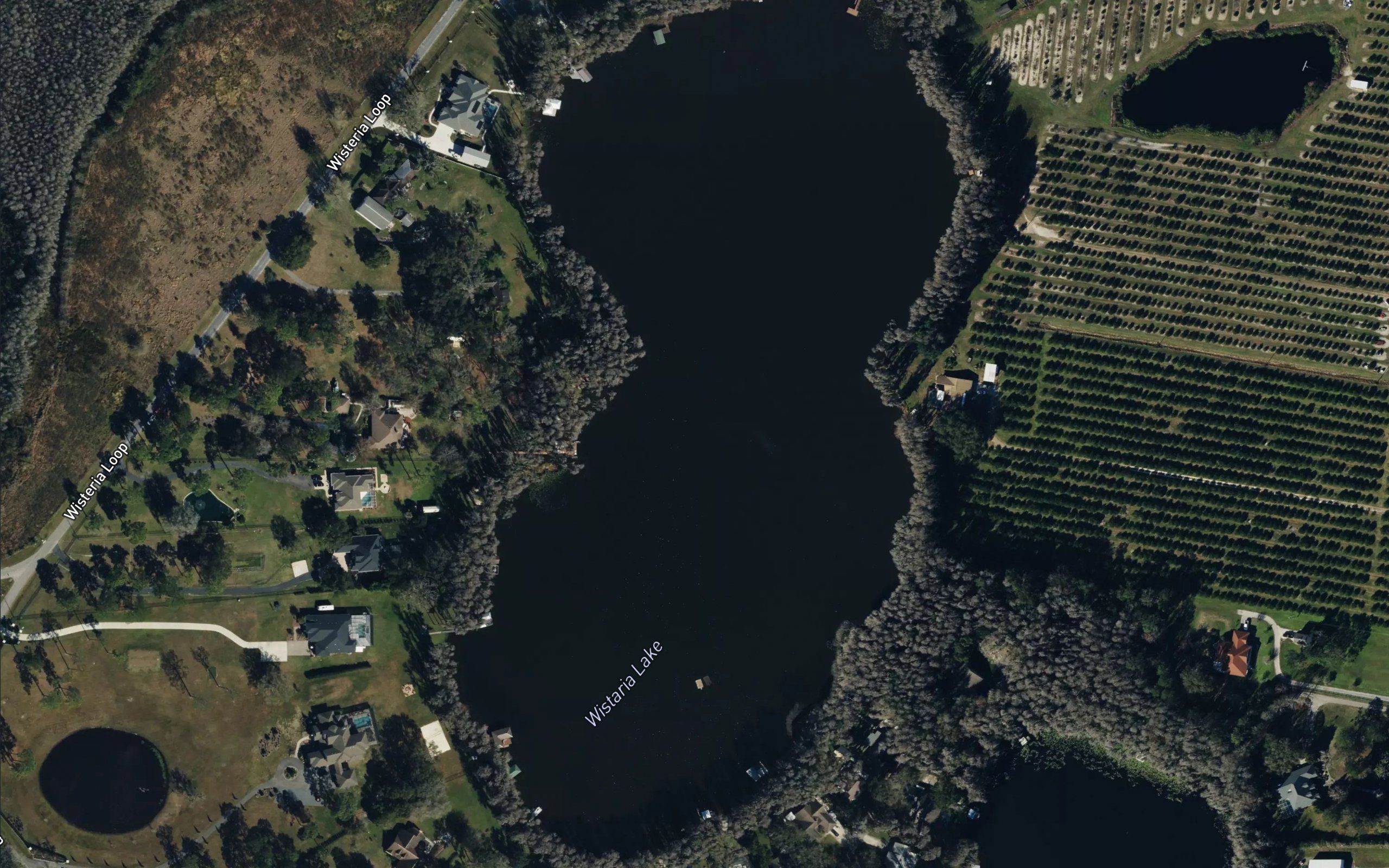 Wistaria Lake