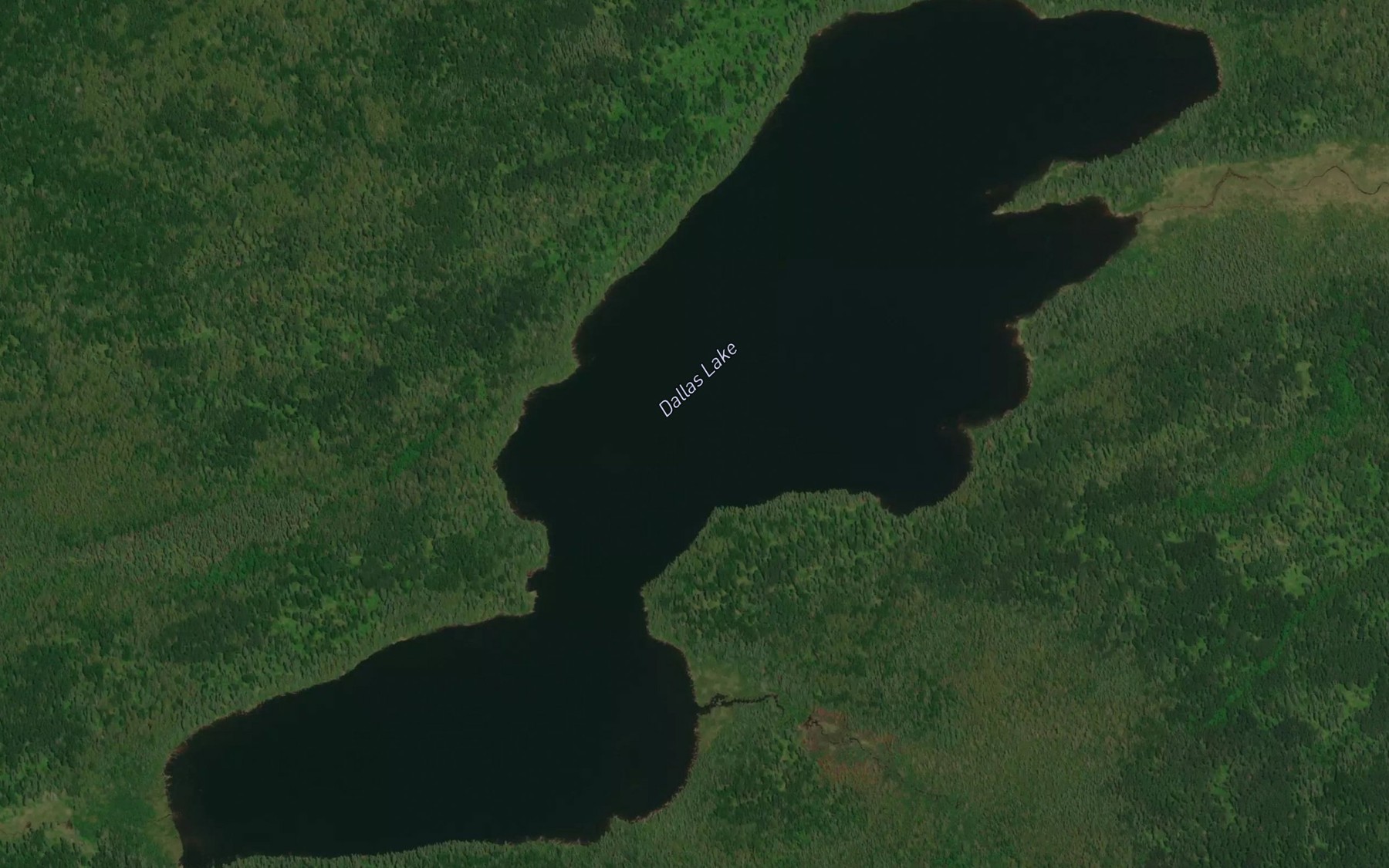 Satellite map of the Dallas Lake