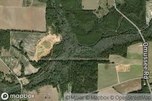 Poplar Spring Branch