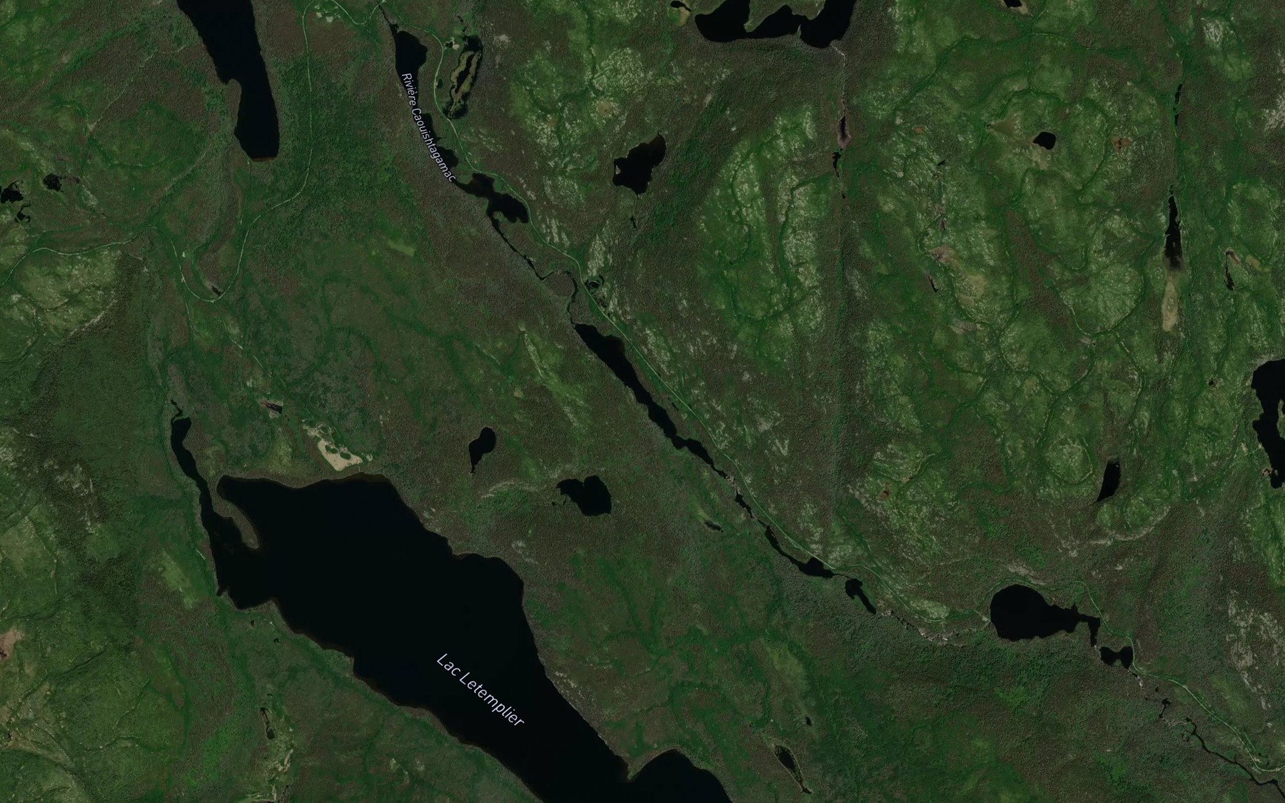 Satellite map of the Lac des Jumeaux