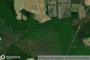 Fork Swamp
