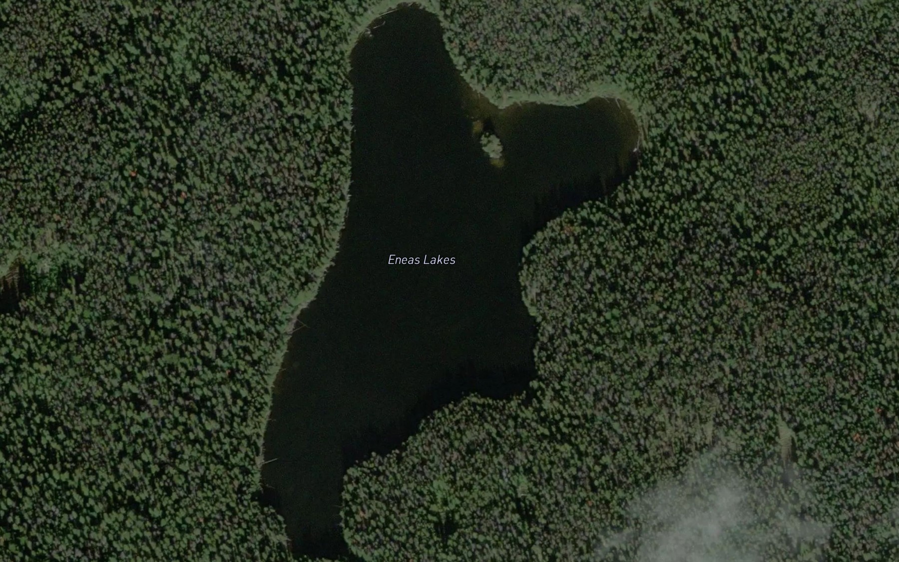 Satellite map of the Island Lake