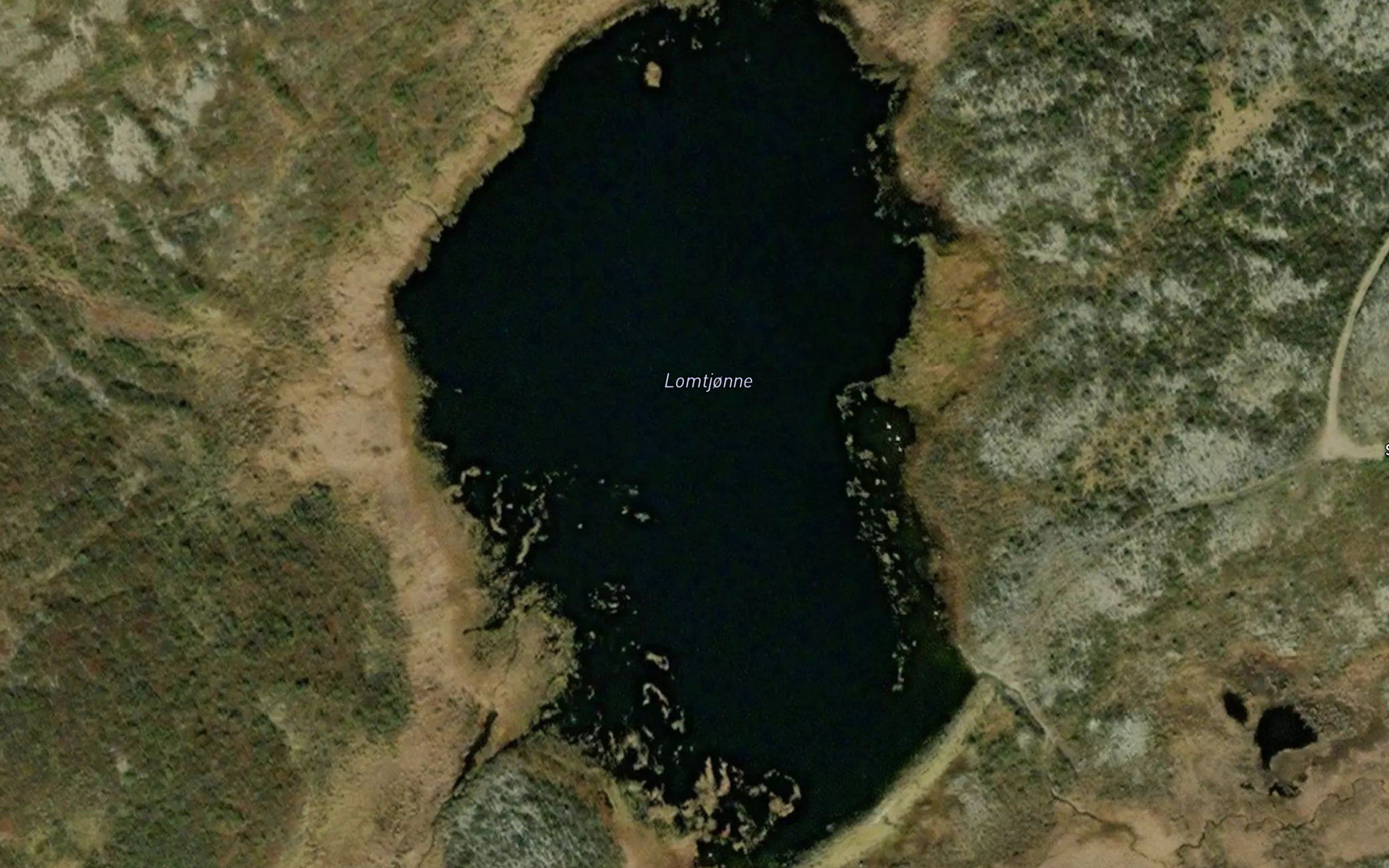 Lomtjorni