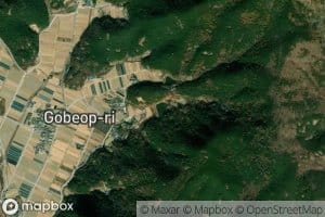 P'albangjung-soryuji