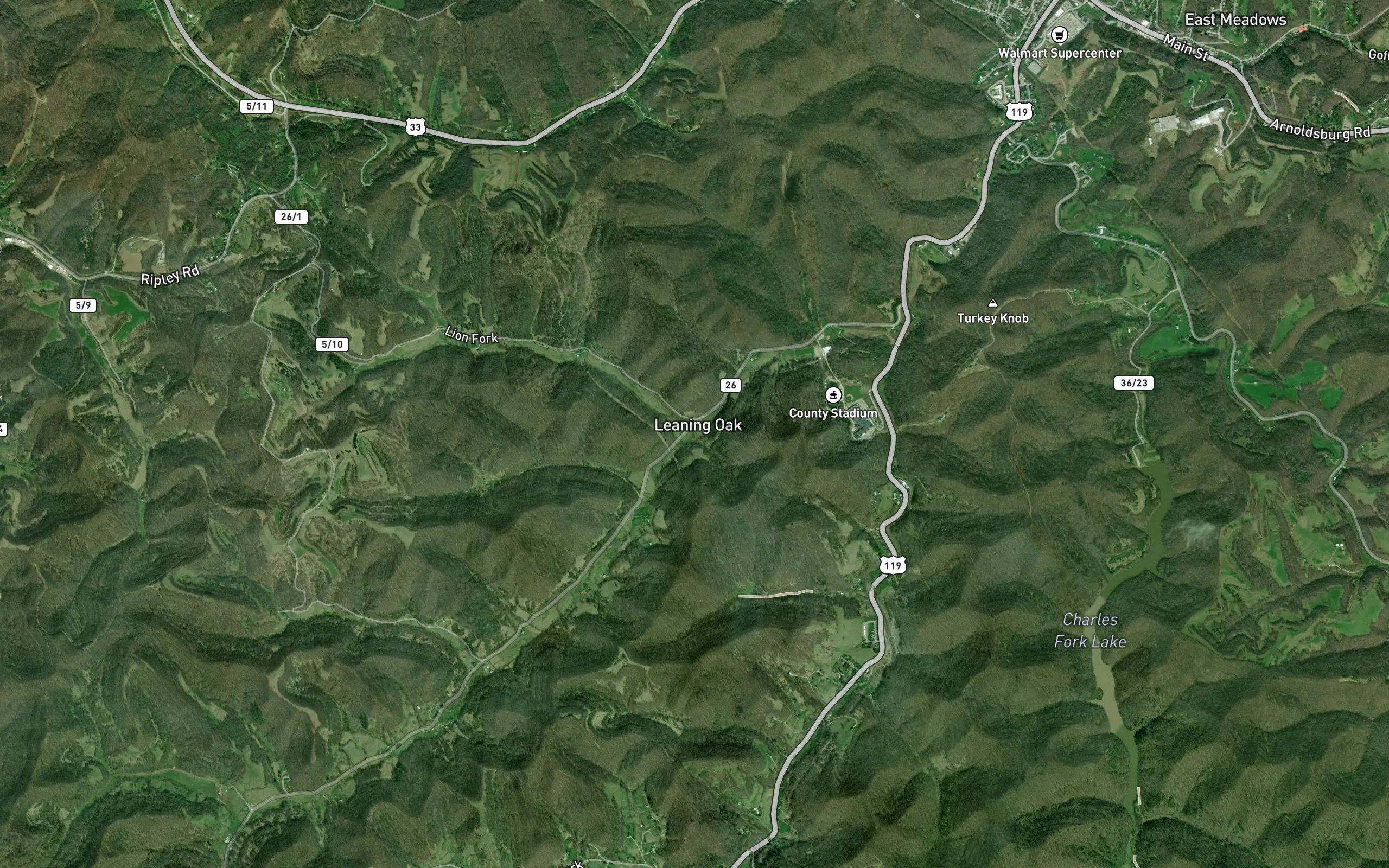 Lion Fork