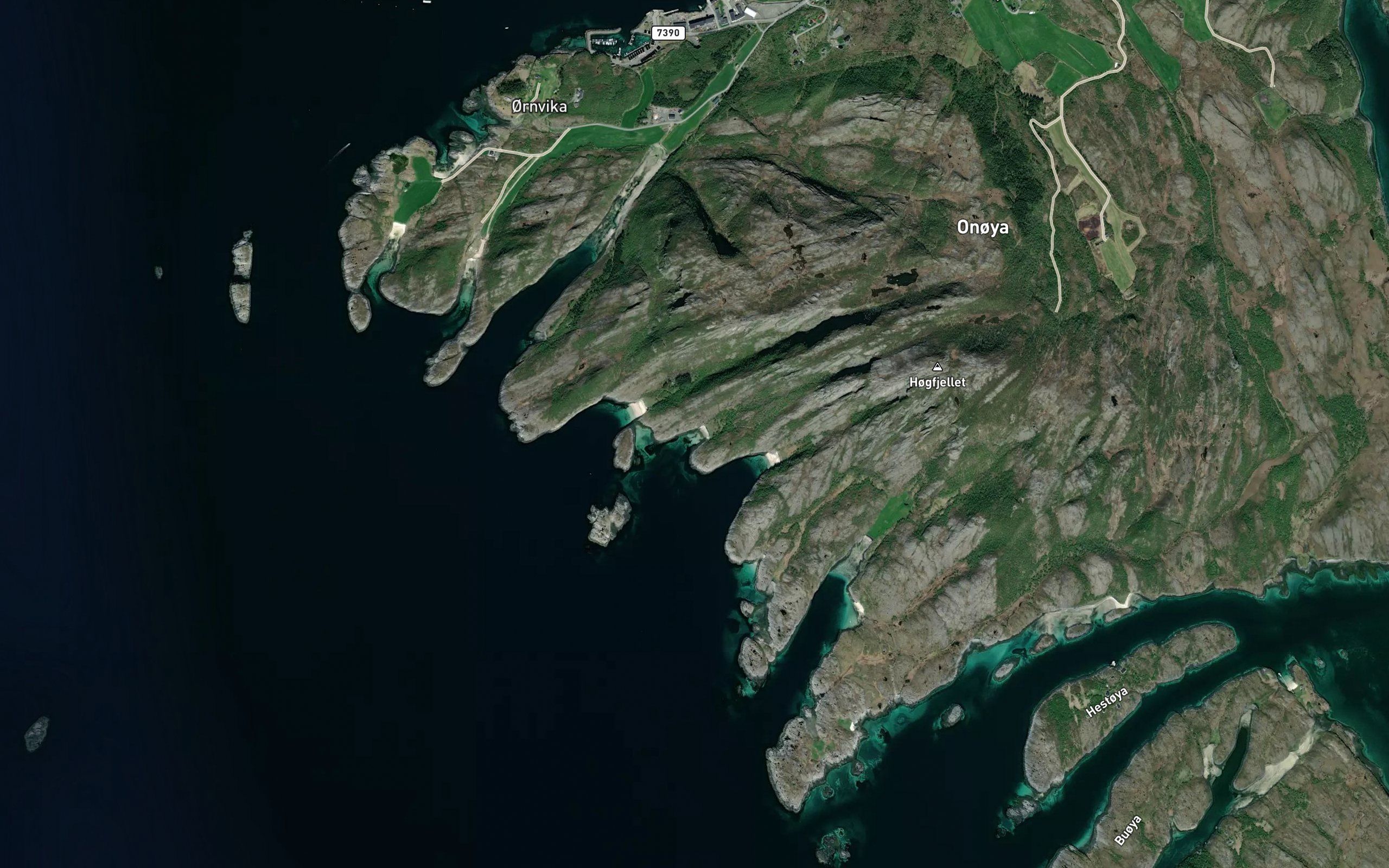 Borkvika