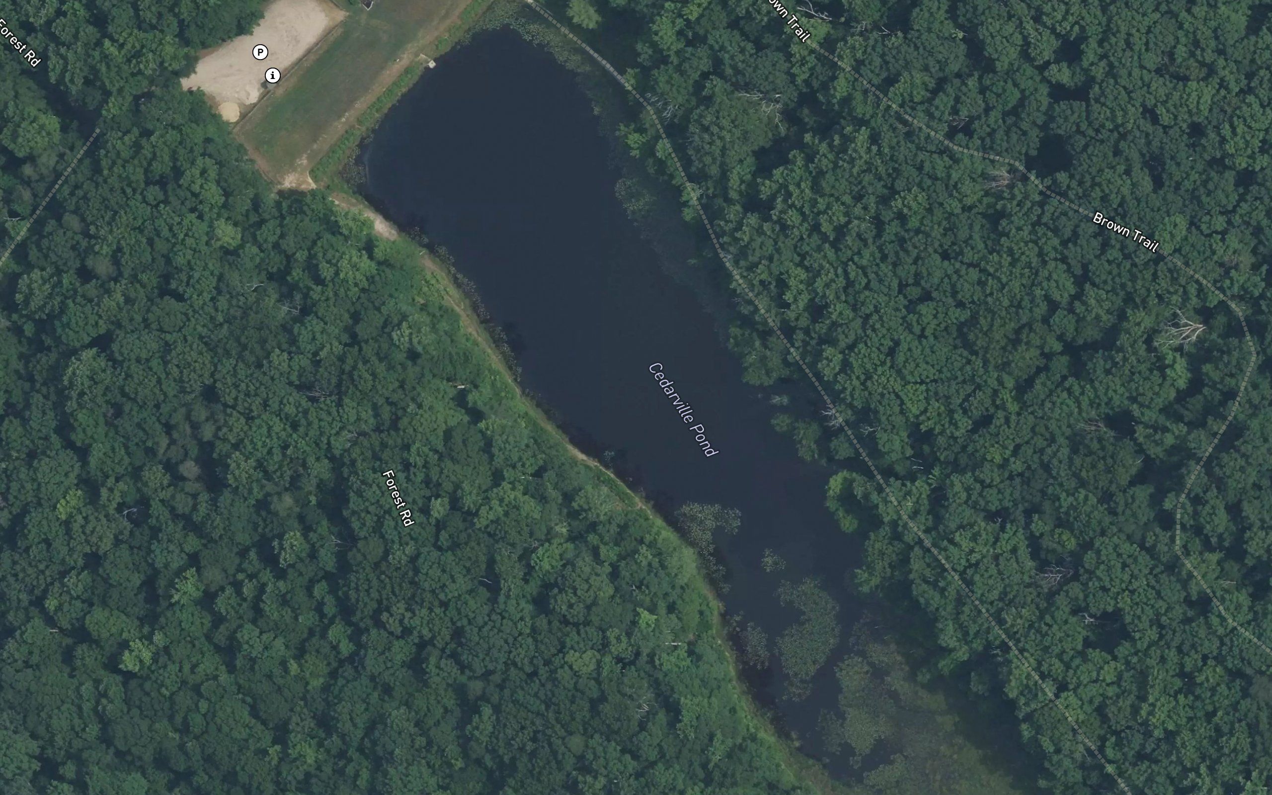 Cedarville Pond
