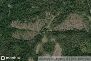 Hestastjenn