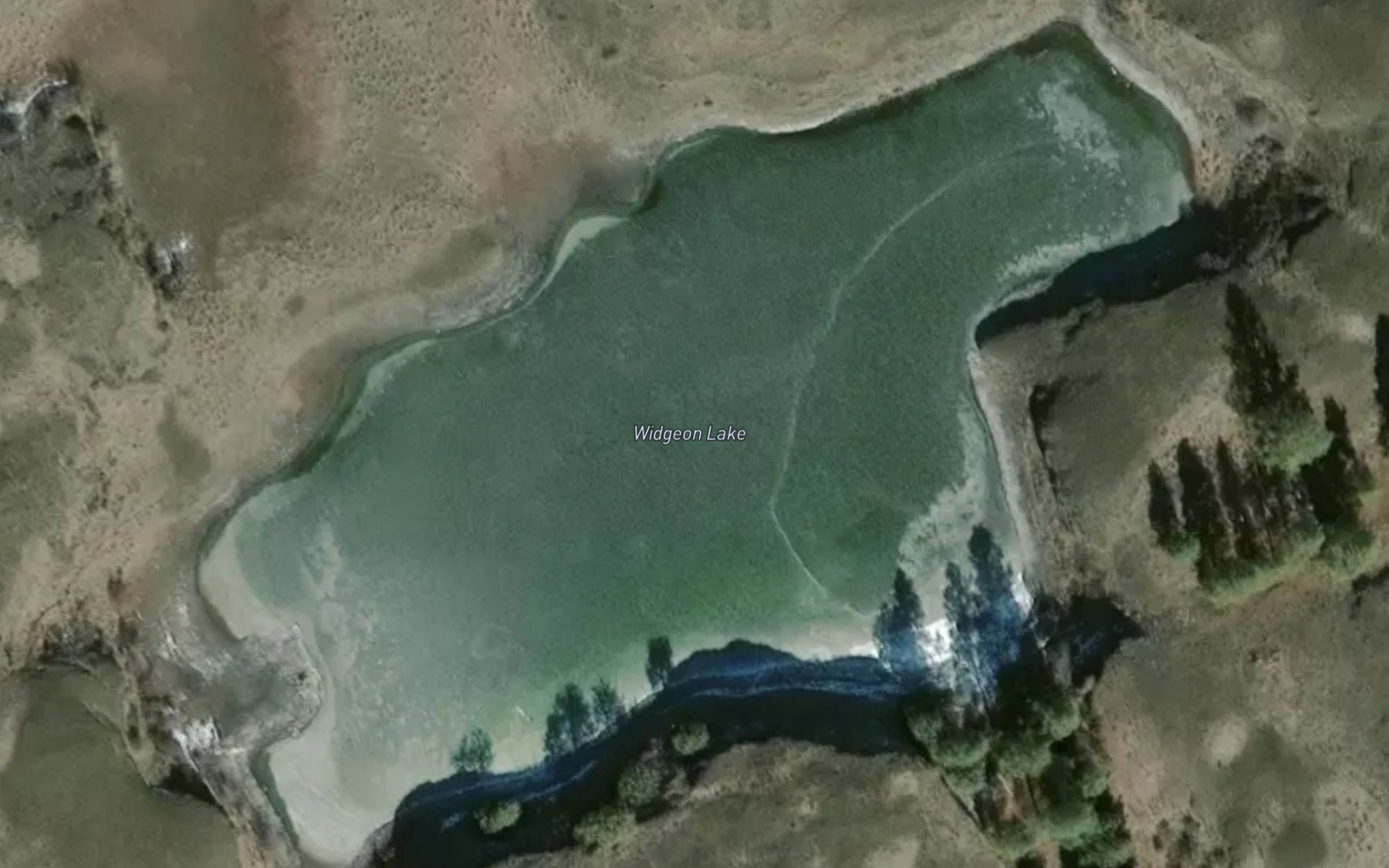Satellite map of the Widgeon Lake