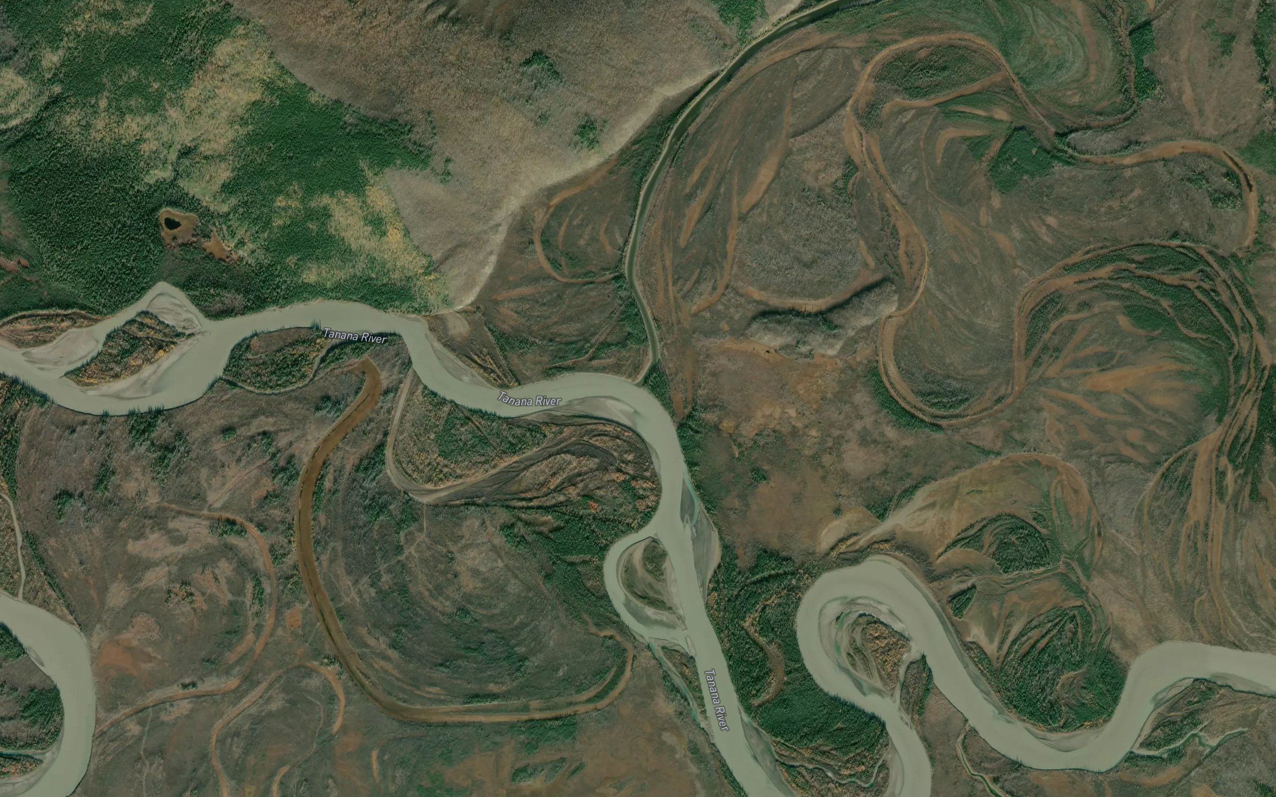 Little Tanana Slough