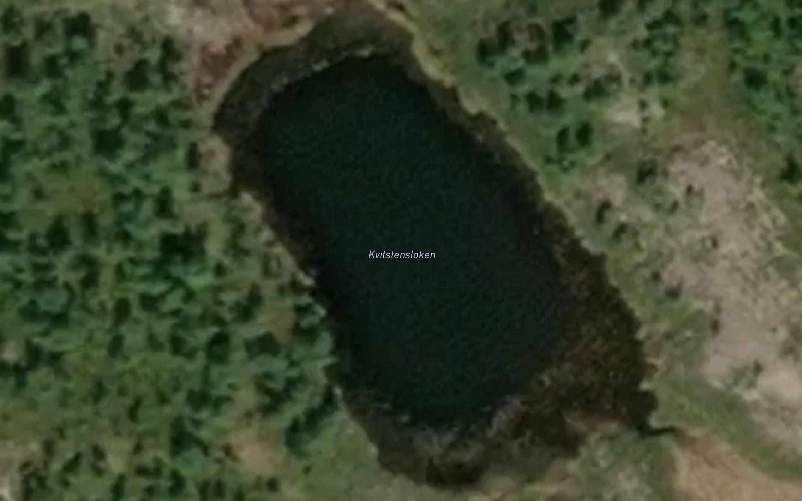 Kvistenloken