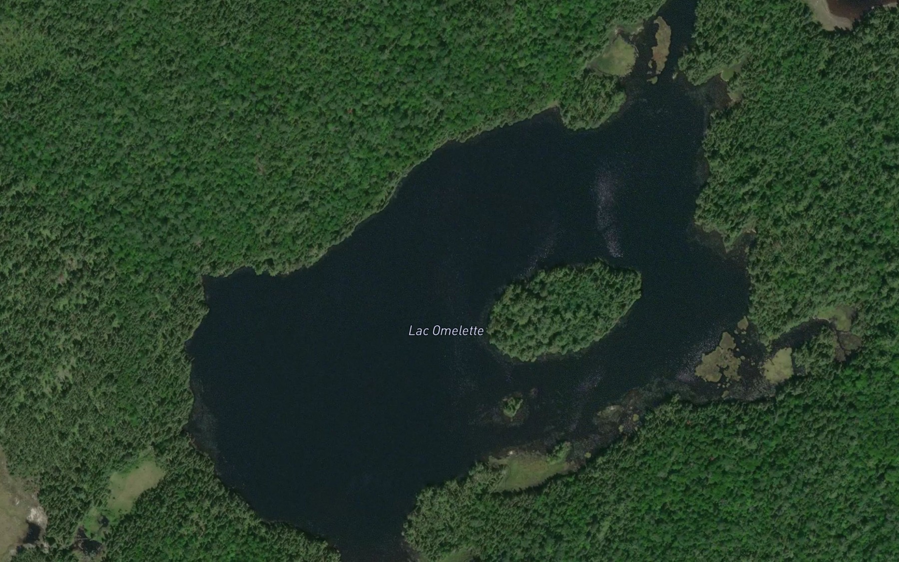 Satellite map of the Lac Omelette