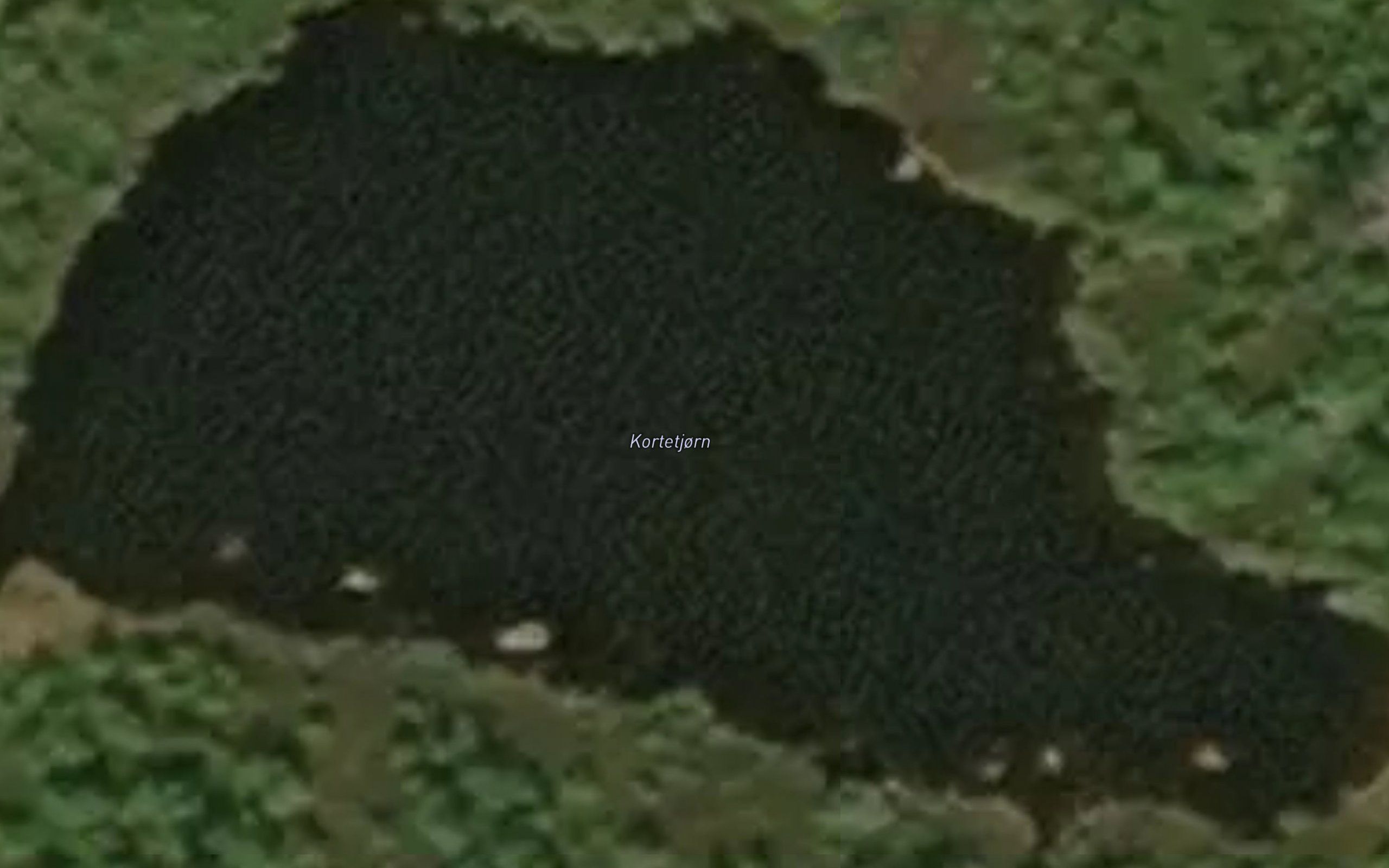Kortetjorn