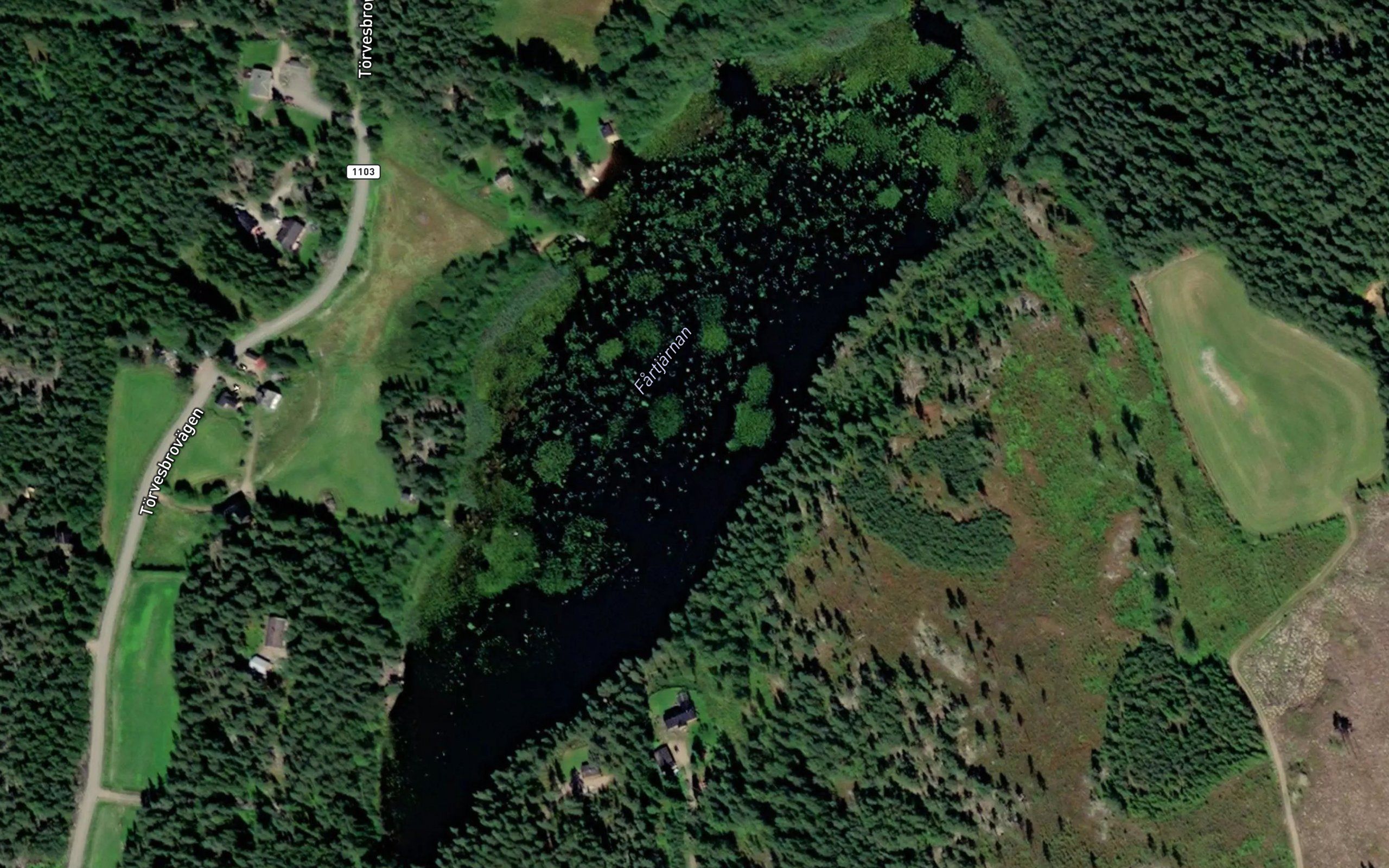Fartjarnan