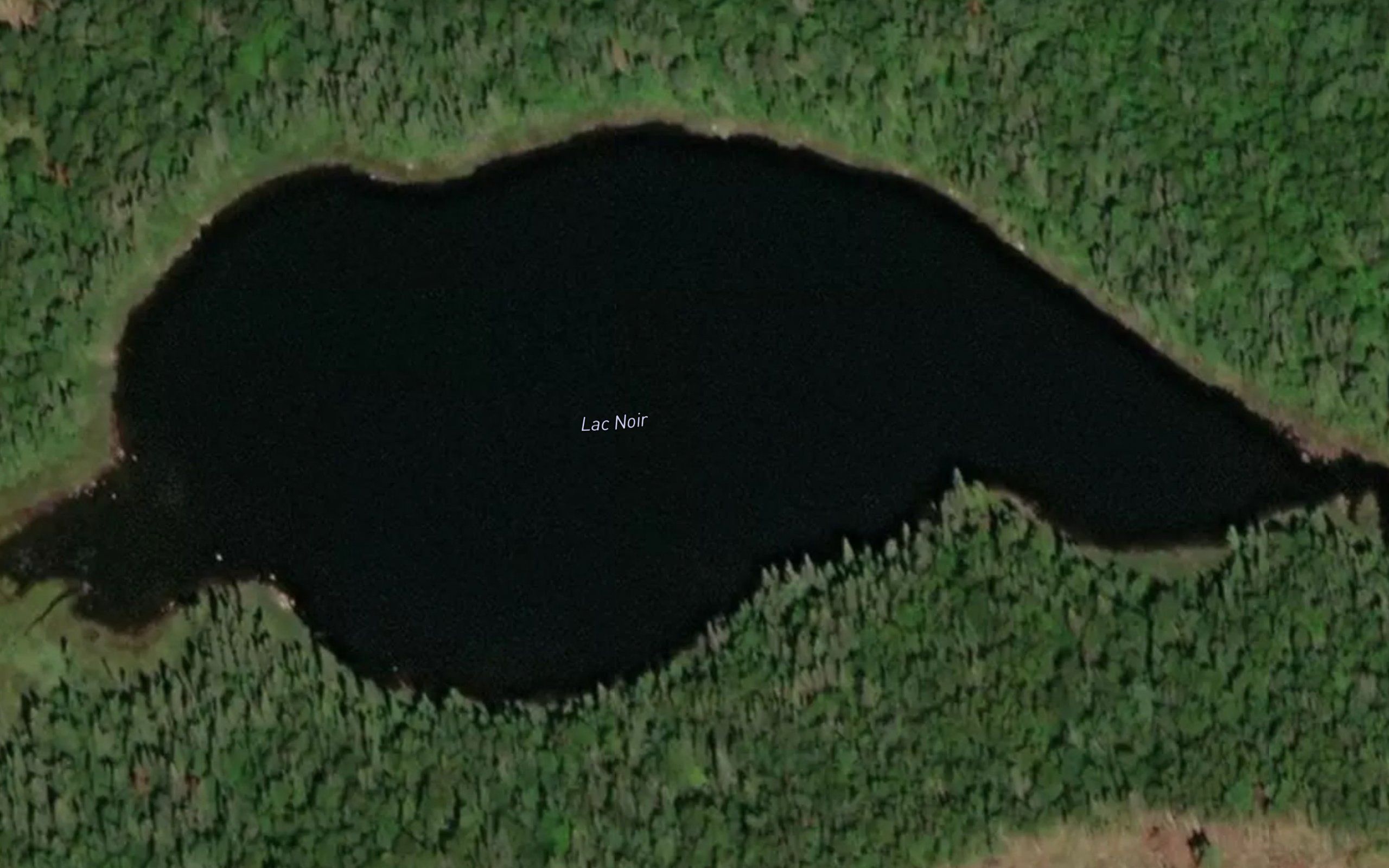 Lac Noir