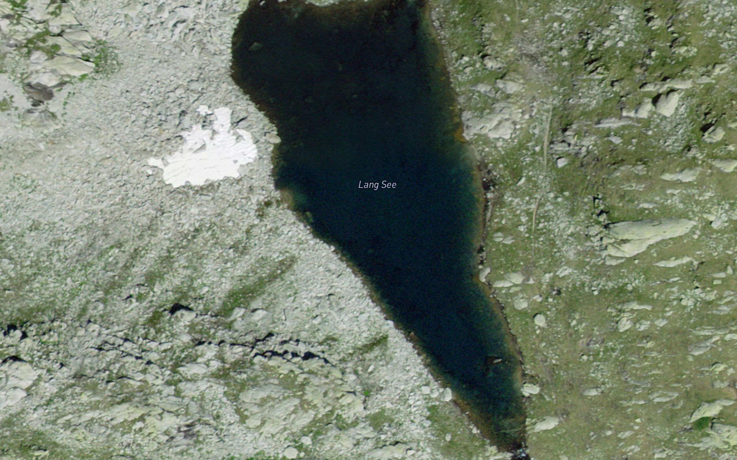 Lang See