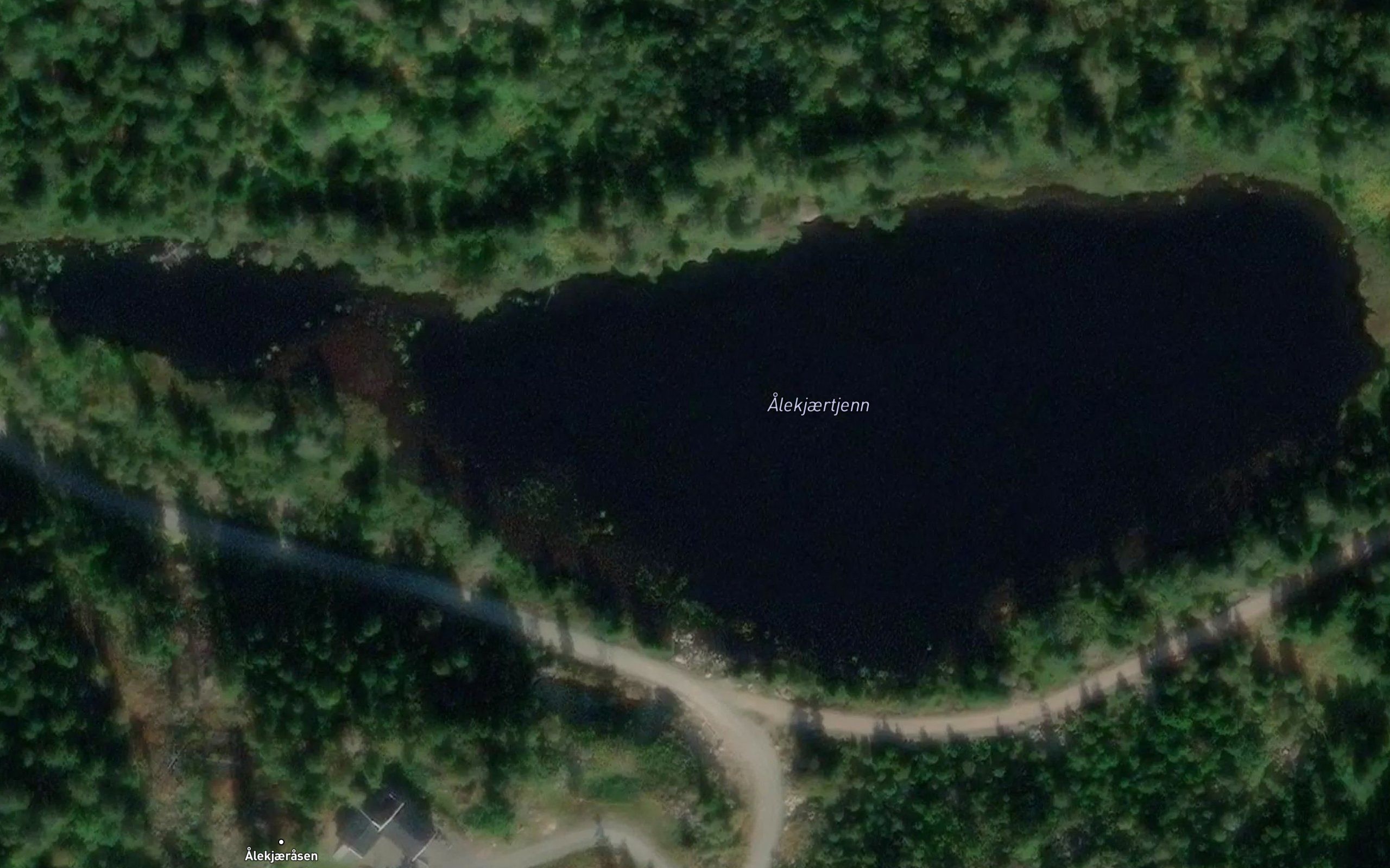 Alekjaertjenn
