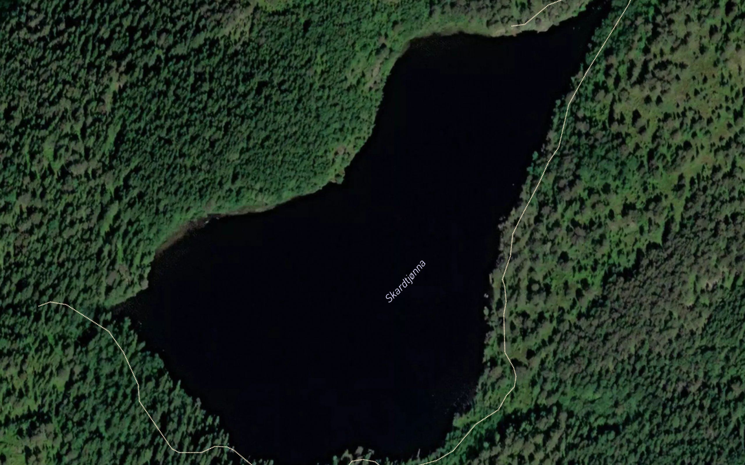 Skartjonna