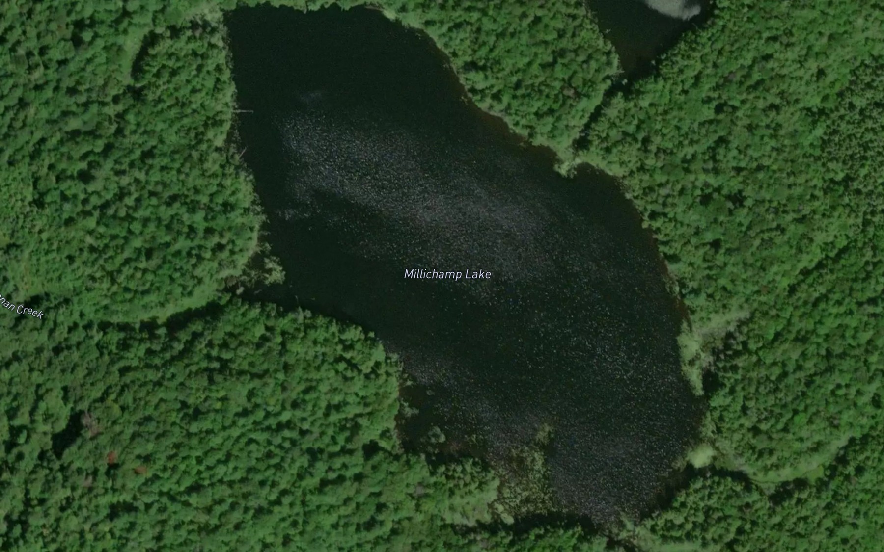 Satellite map of the Millichamp Lake
