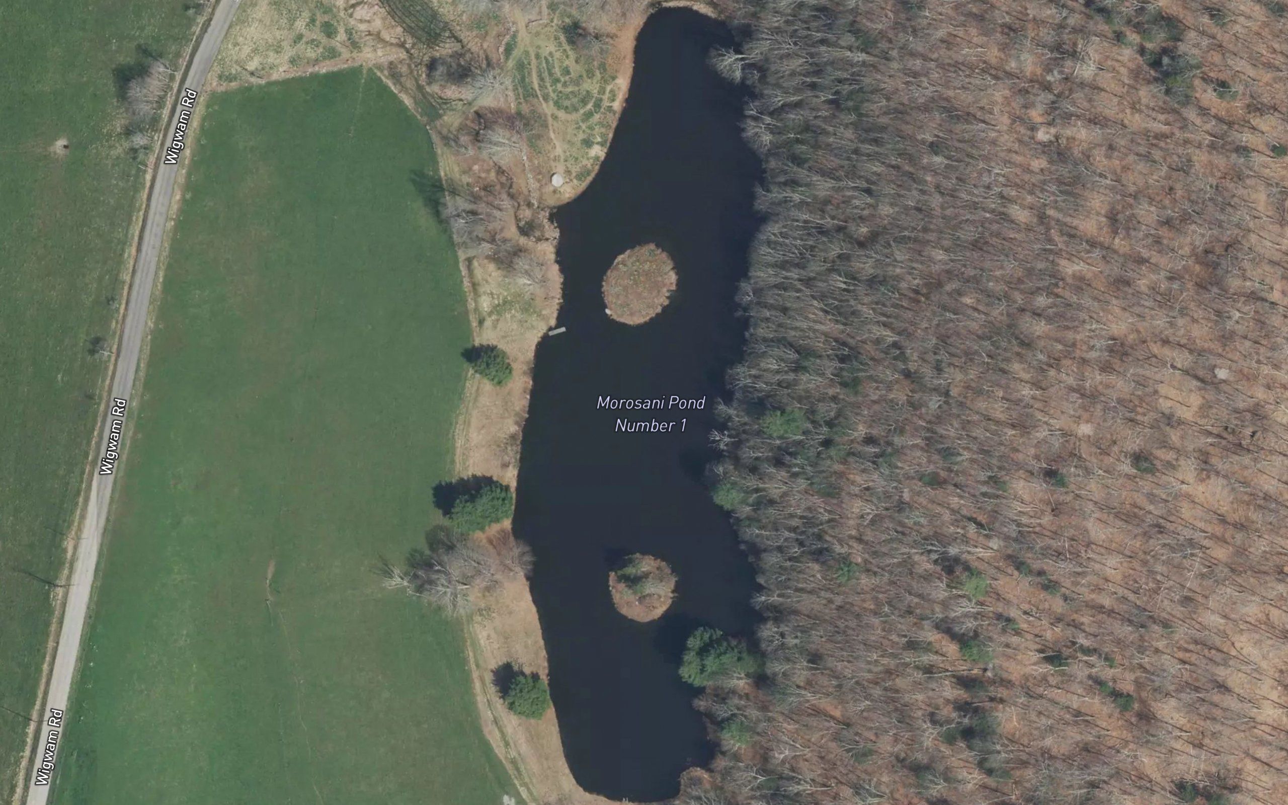 Morosani Pond Number 1