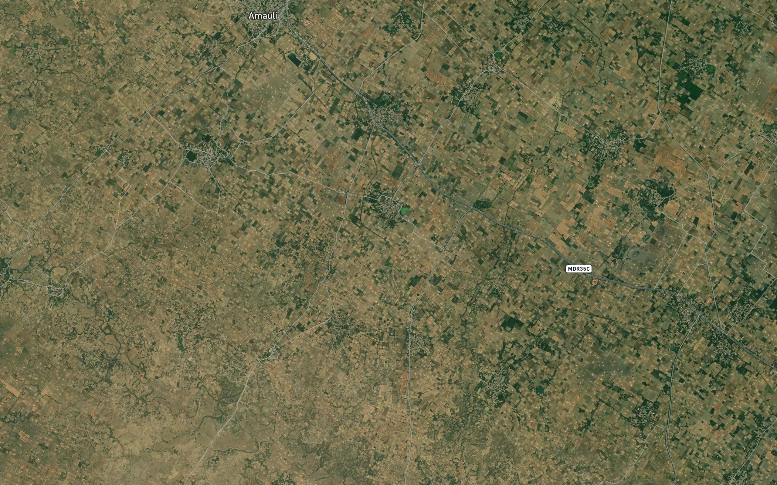 Amauli Distributary