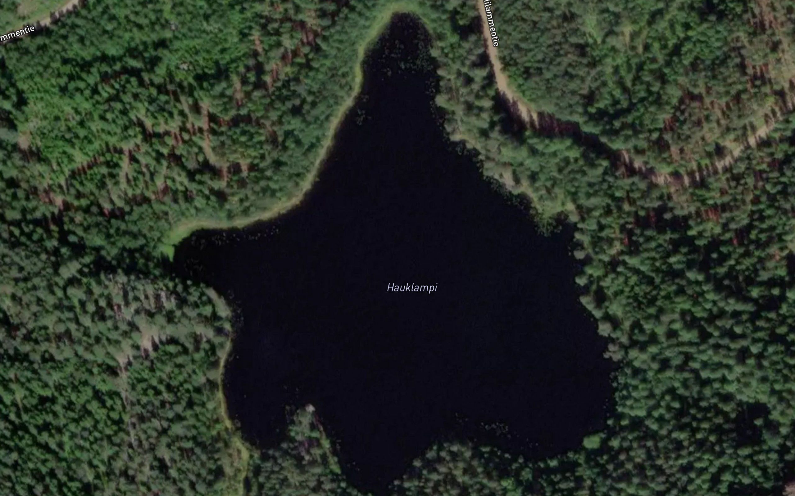 Hauklampi