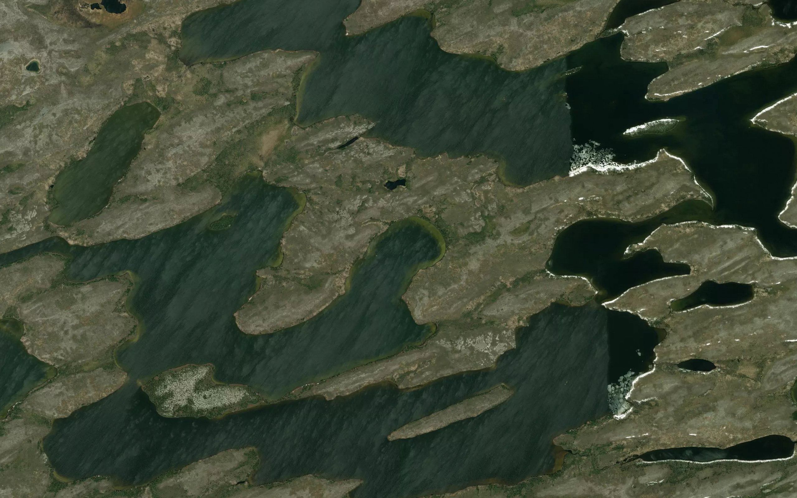 Lac Upasi