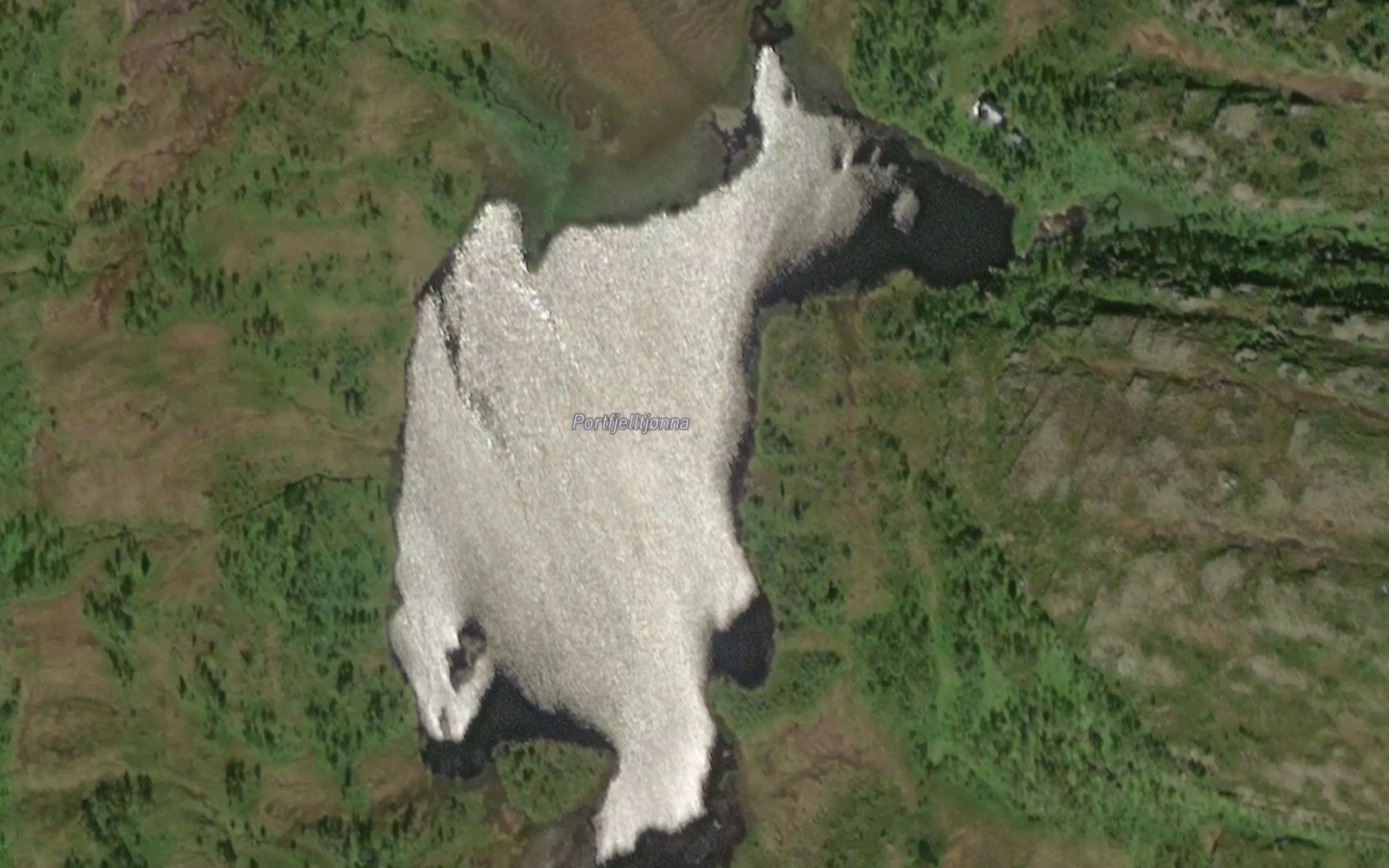 Portfjelltjorna