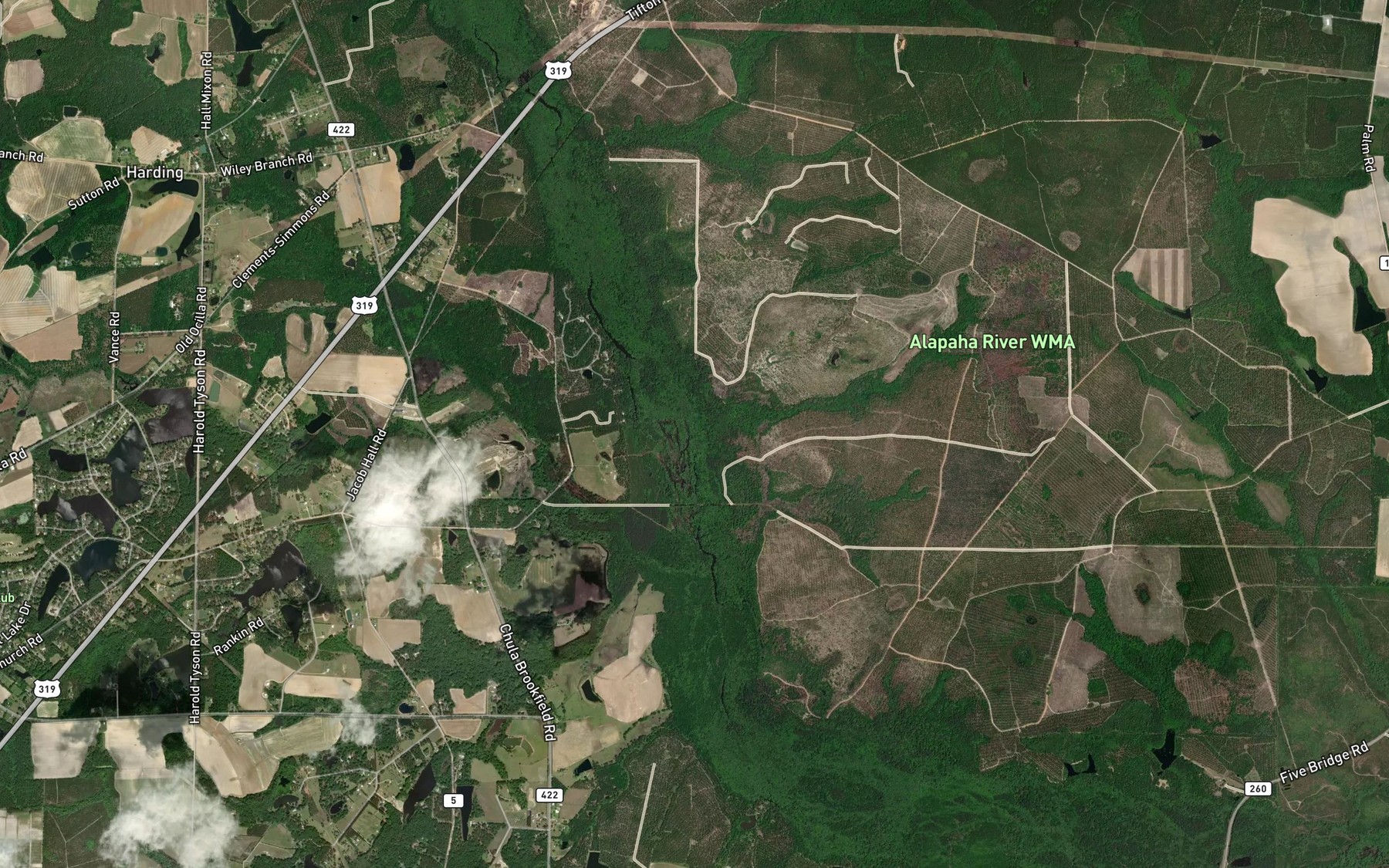 Satellite map of the Little Mud Lake