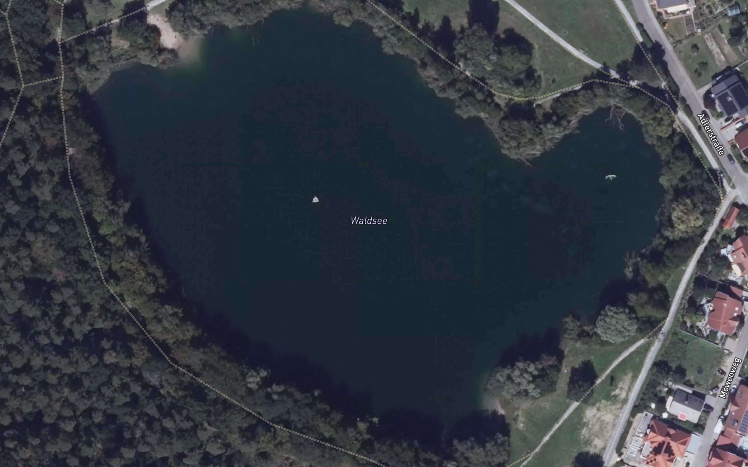 Waldsee, Forst