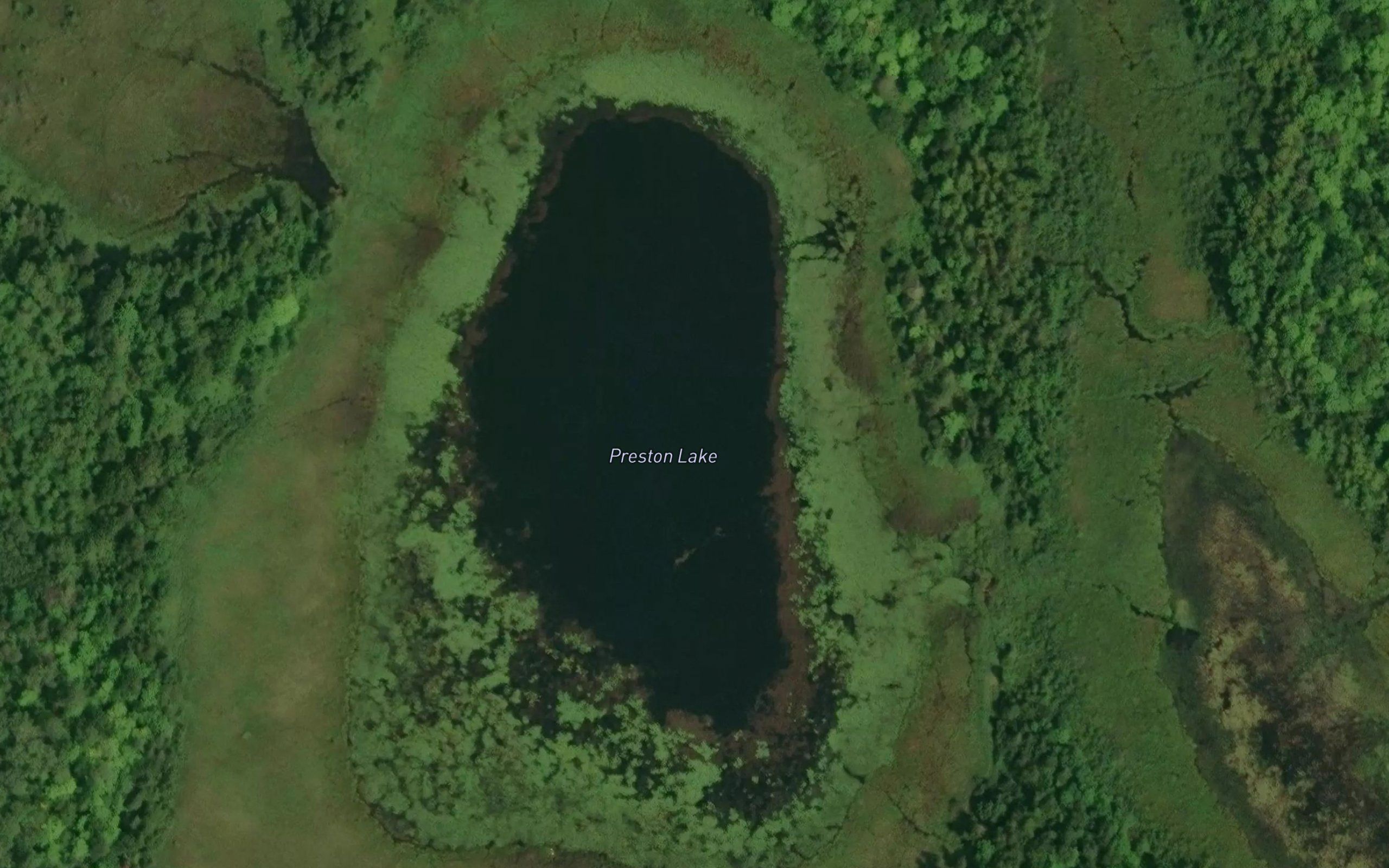 Preston Lake