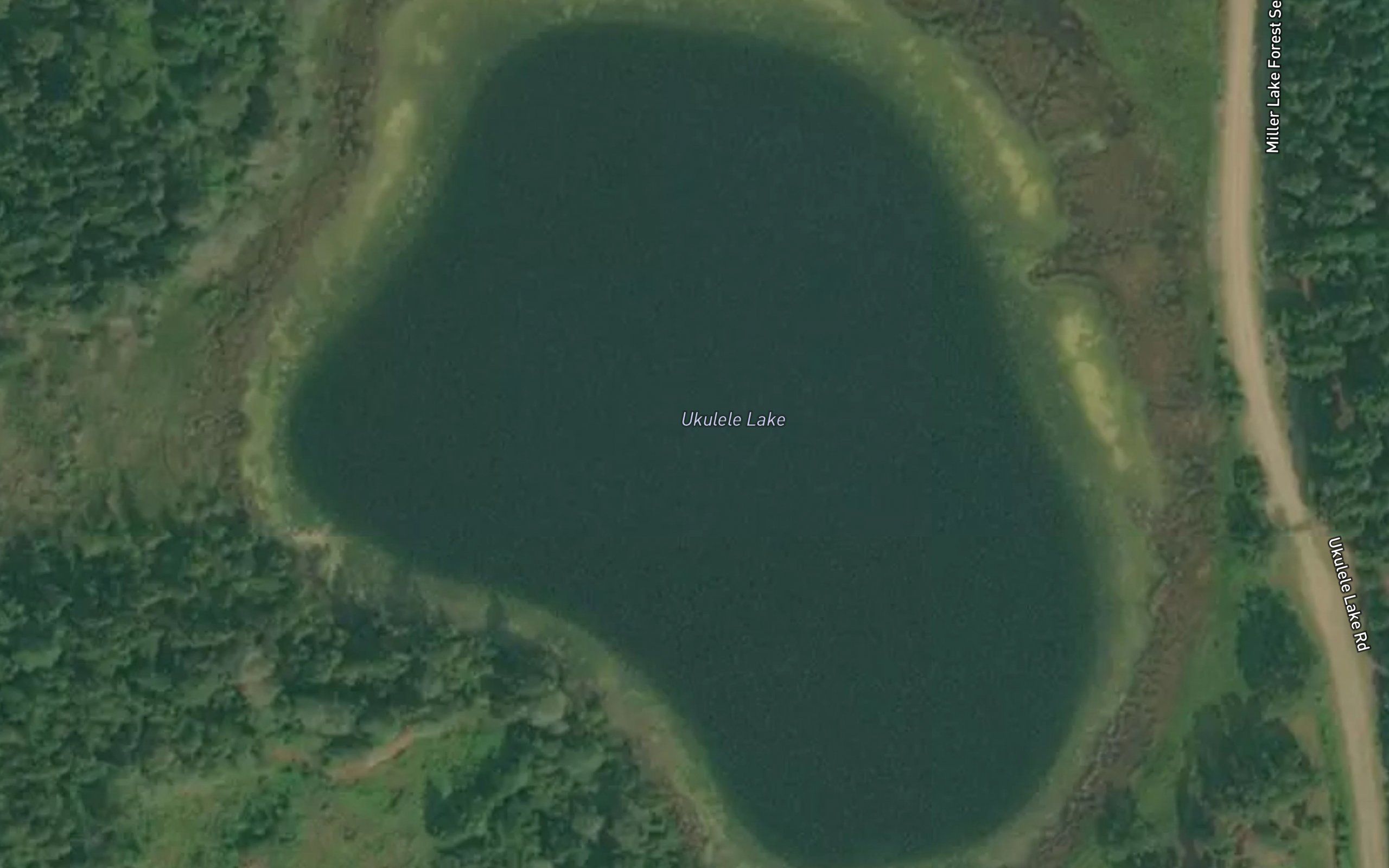 Ukulele Lake