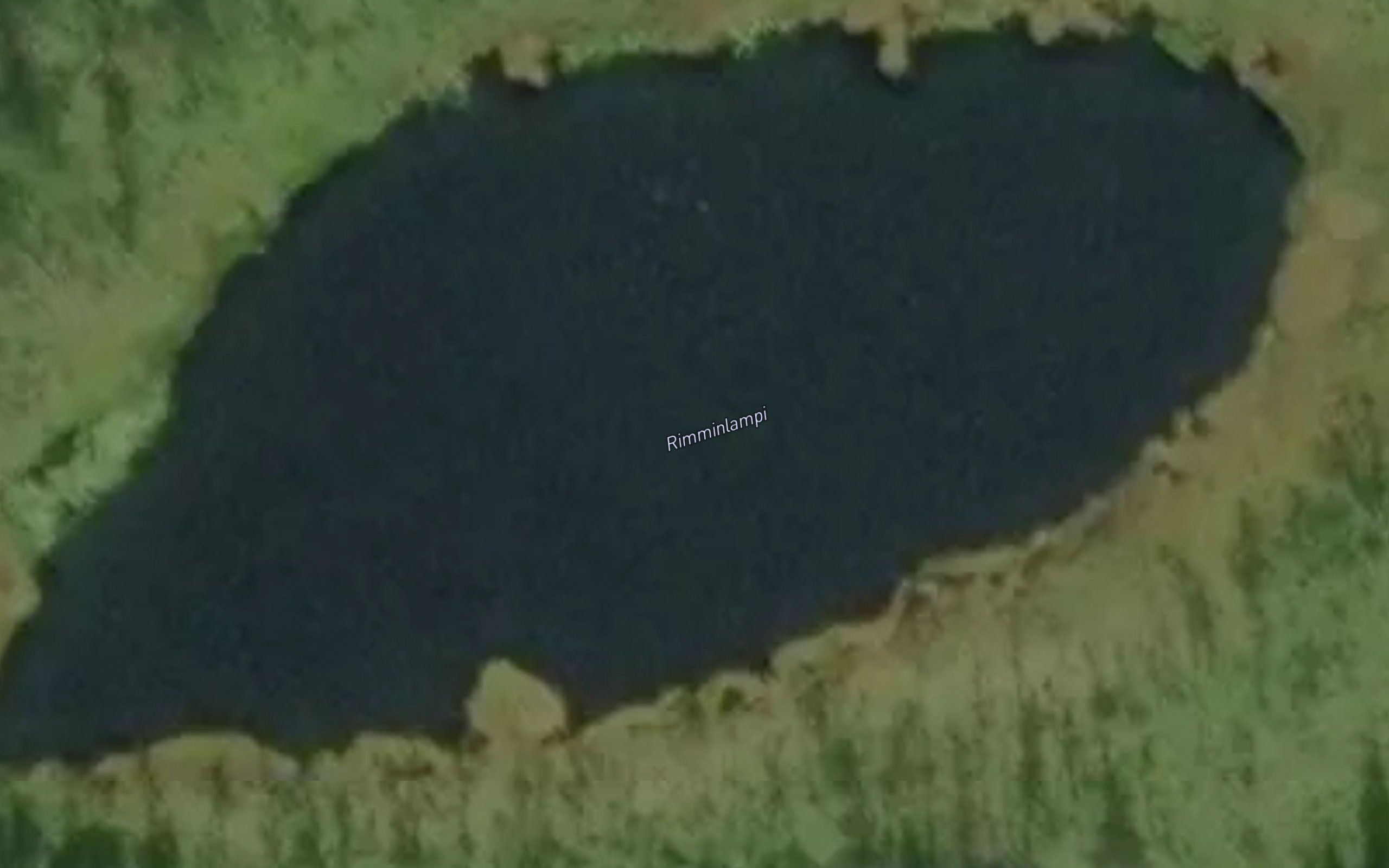 Rimminlampi